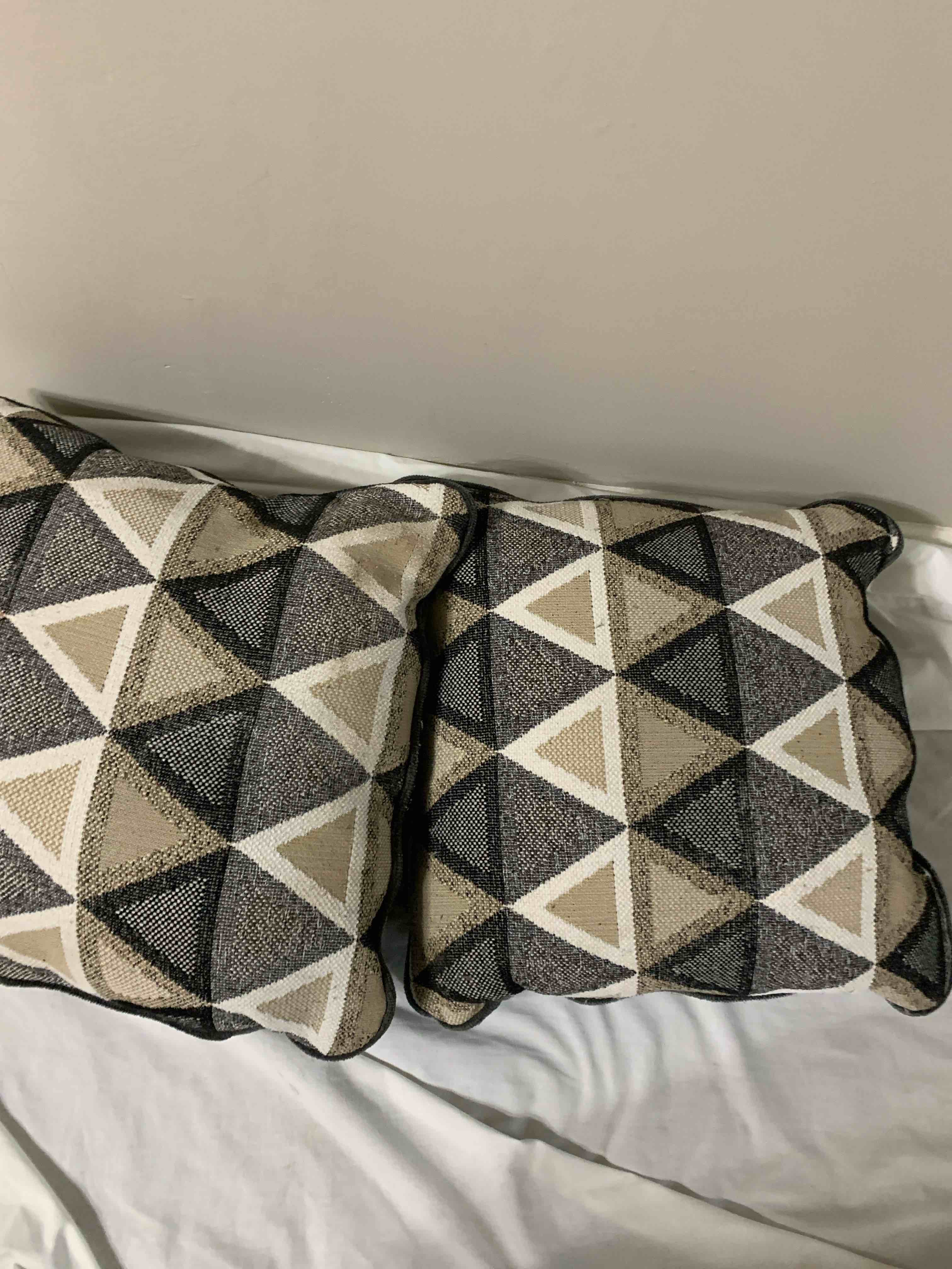2 - 18” X 18” Throw Pillows