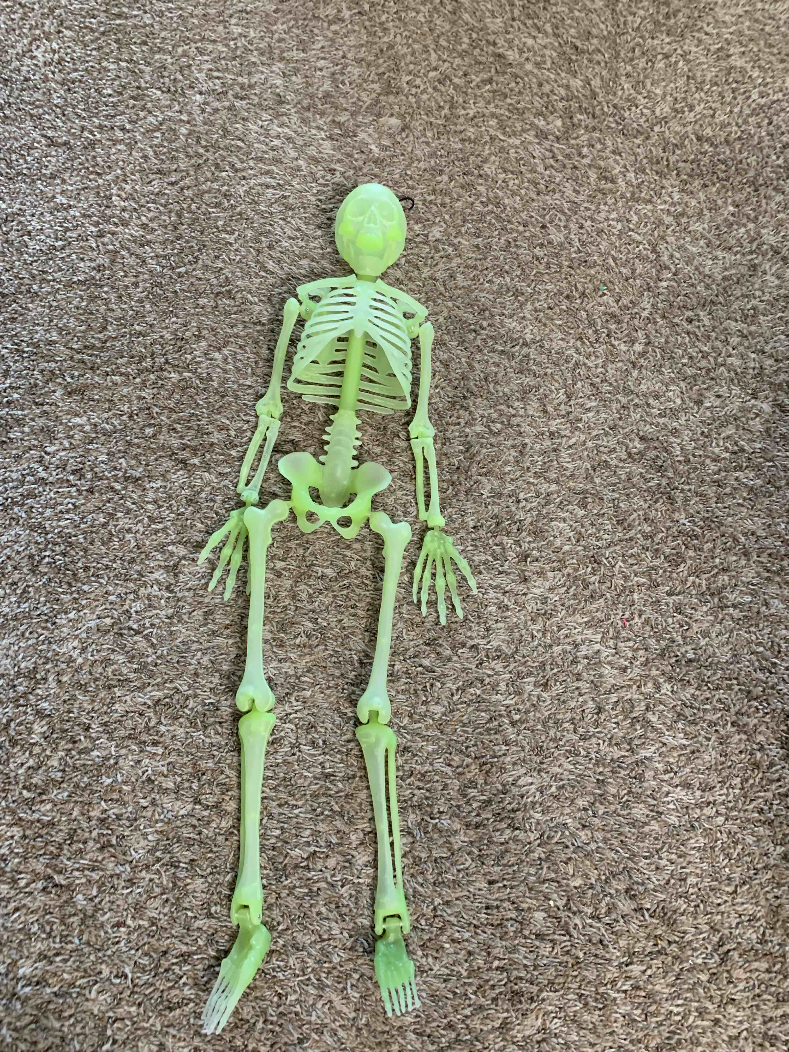 34” glow in the dark skeleton 