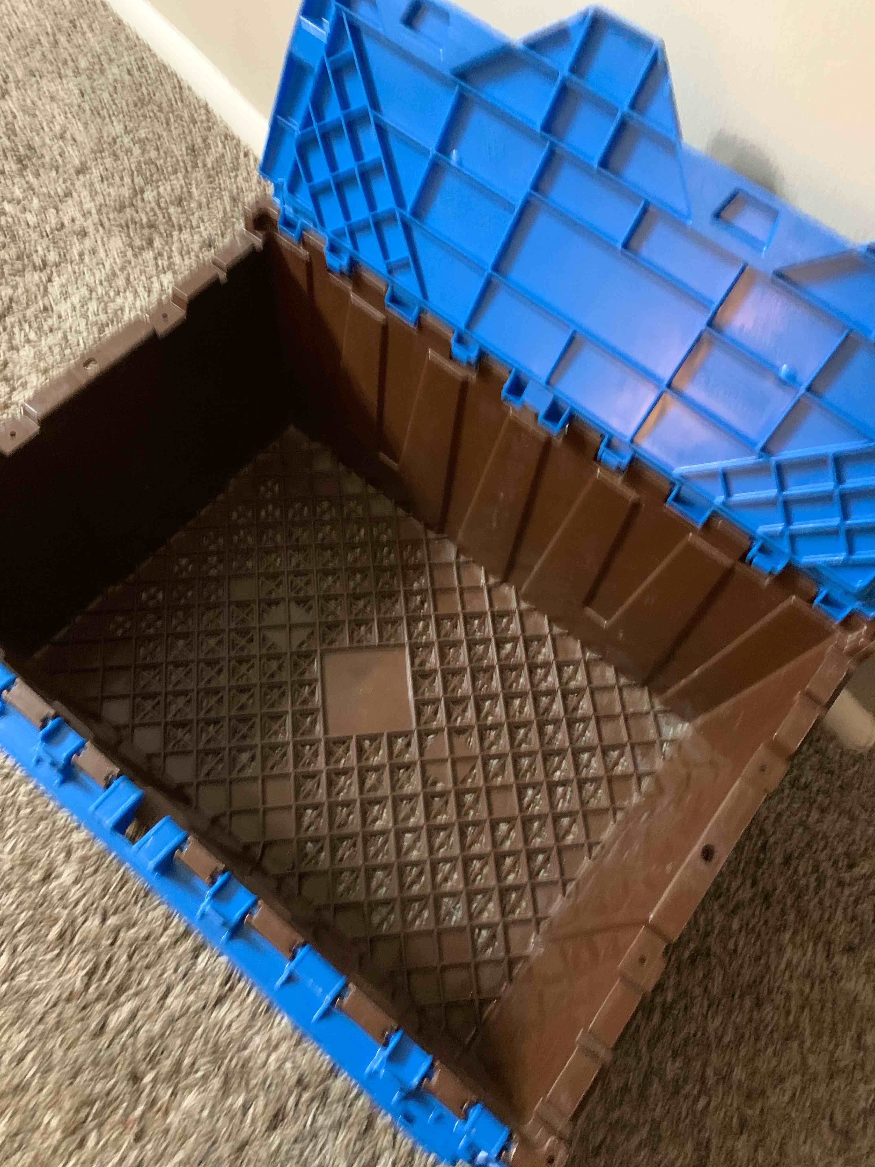 Condition photo showing Good Condition for Large Plastic Crate with Hinged Lid, 20” X 15” X 9”