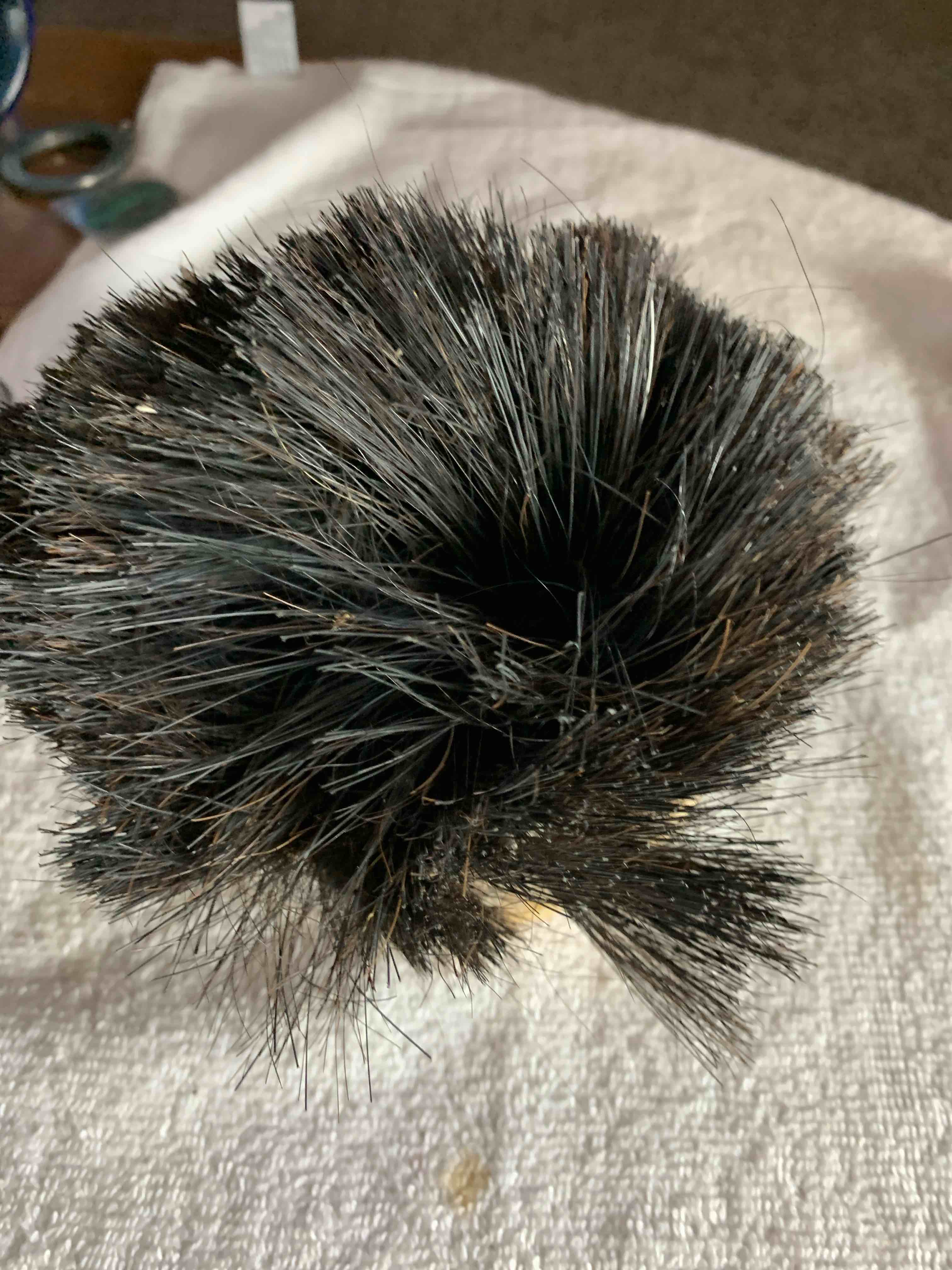 Ceiling Texture Brush