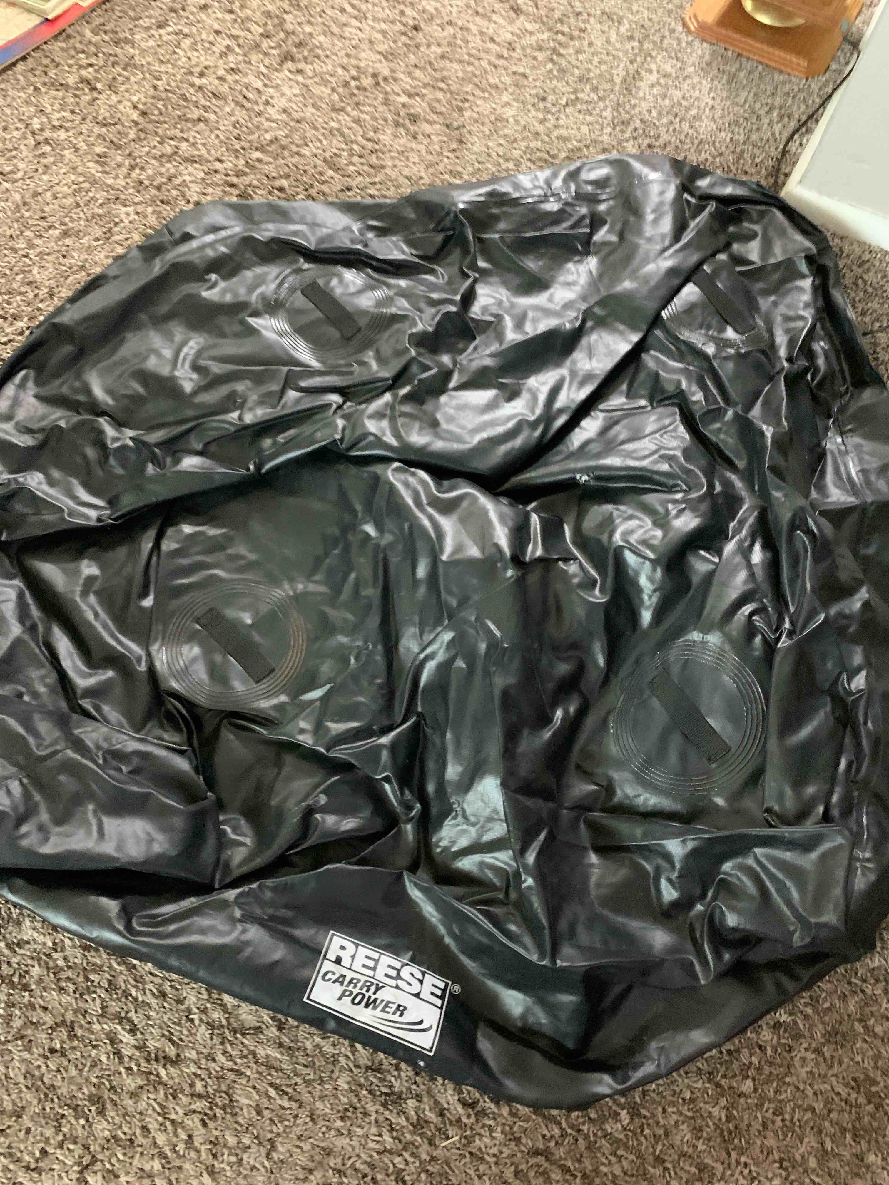 Reese Car Top Carrier,  10 Cu. Ft. 