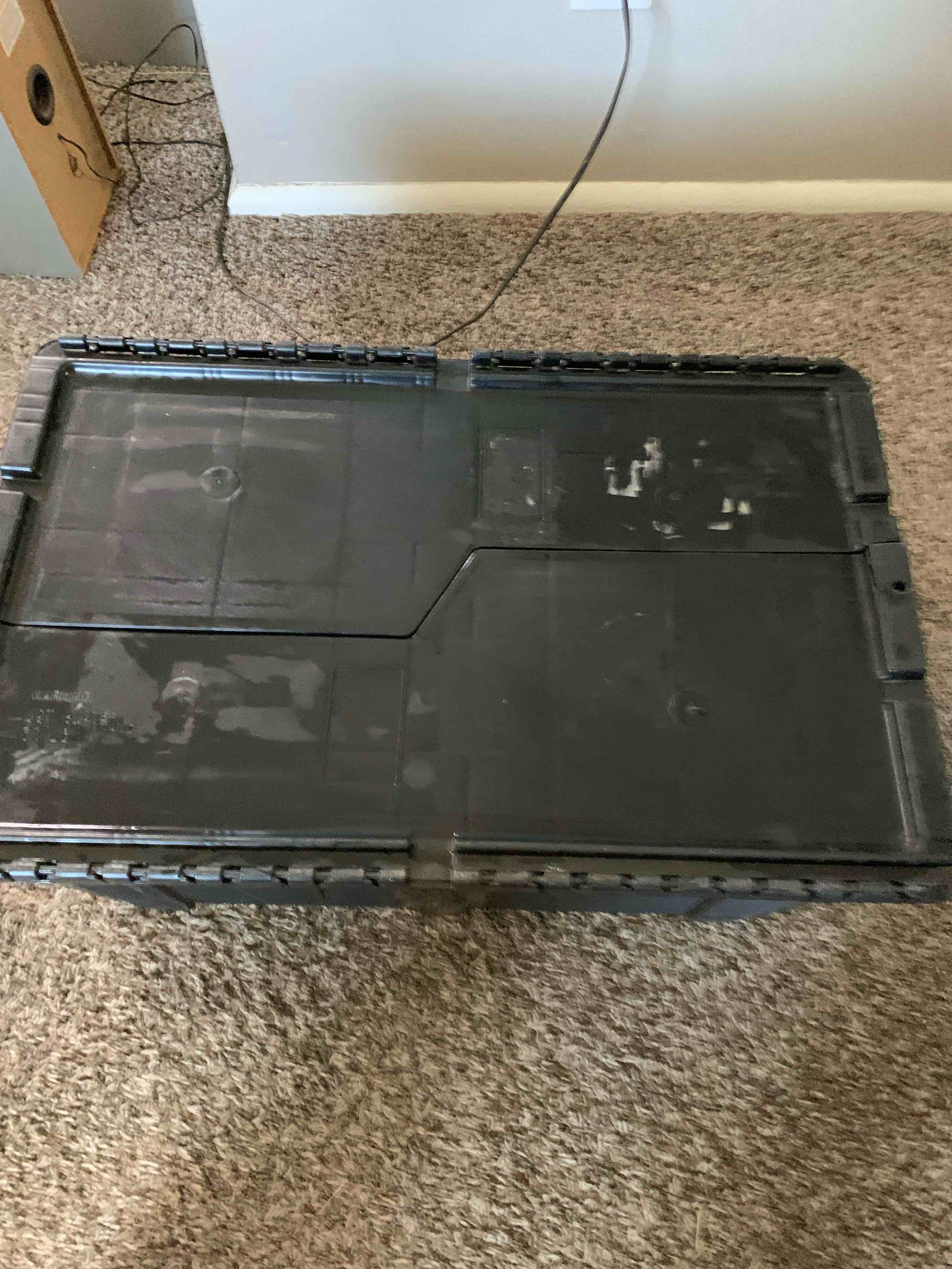 Hinged Lid Storage Container 