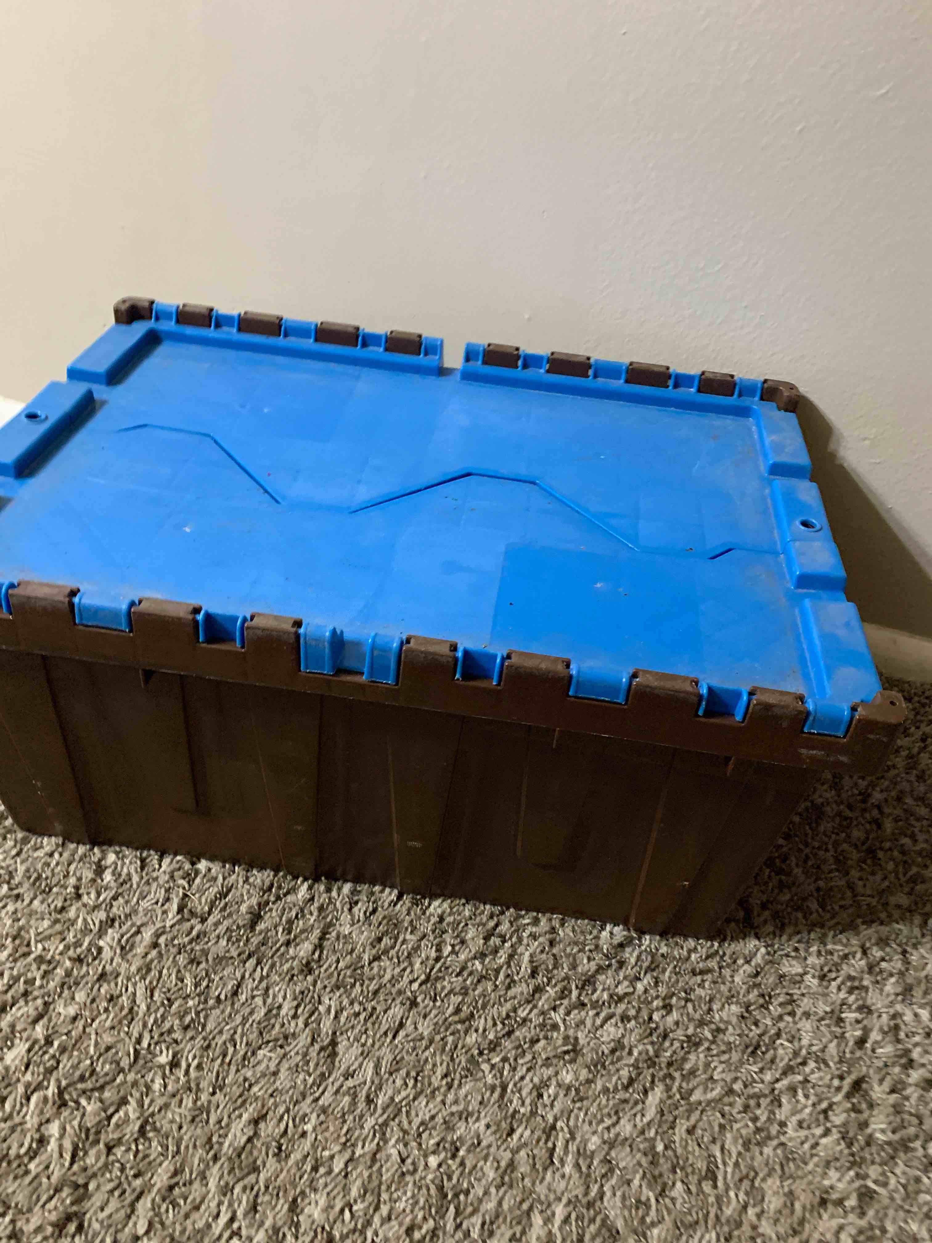 Storage Crate with Hinged Lid