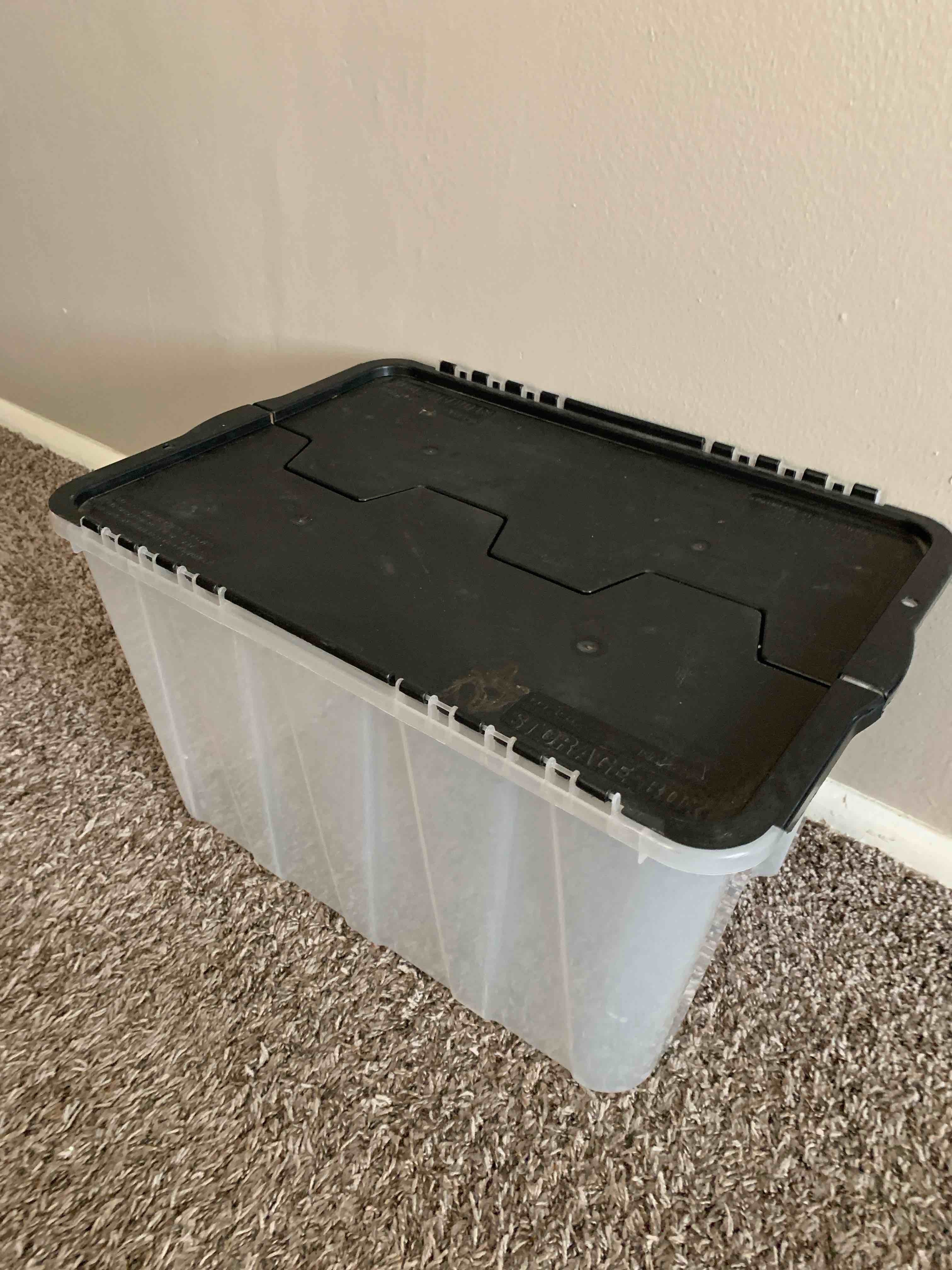 Clear Plastic Storage Box, 21” X 15” X  12” deep 