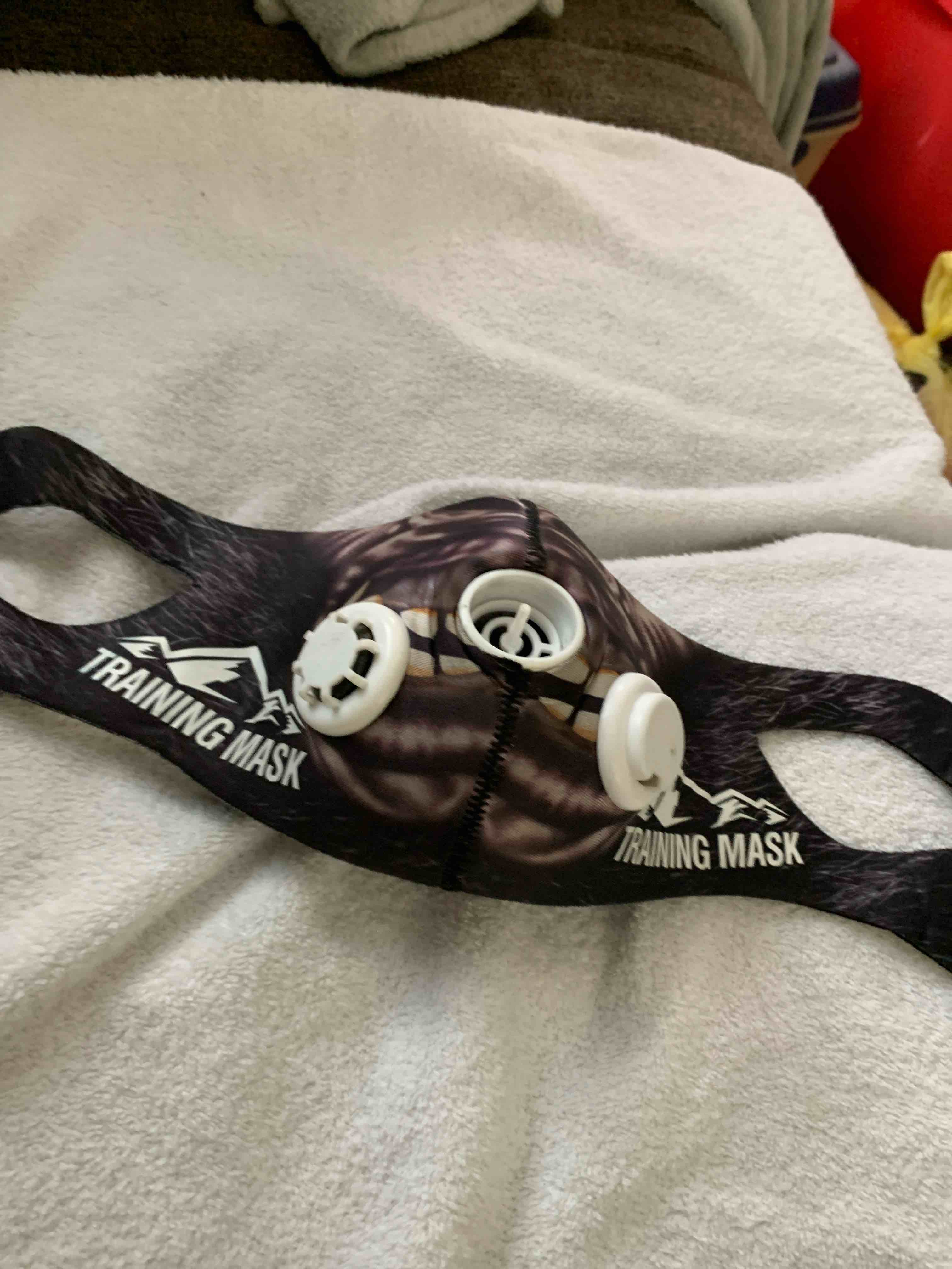 Training Mask