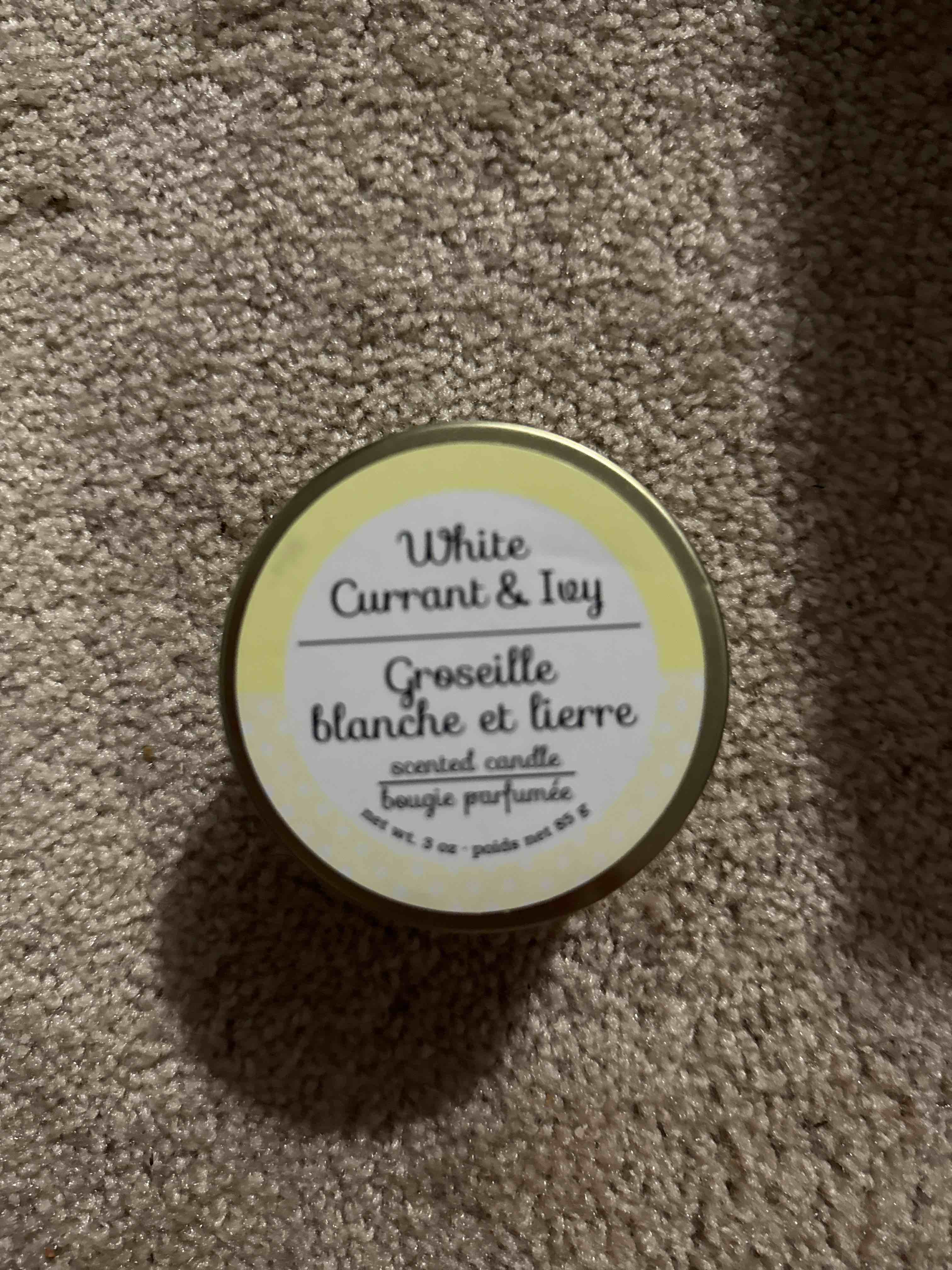 White Currant and Ivy Single Wick Candle