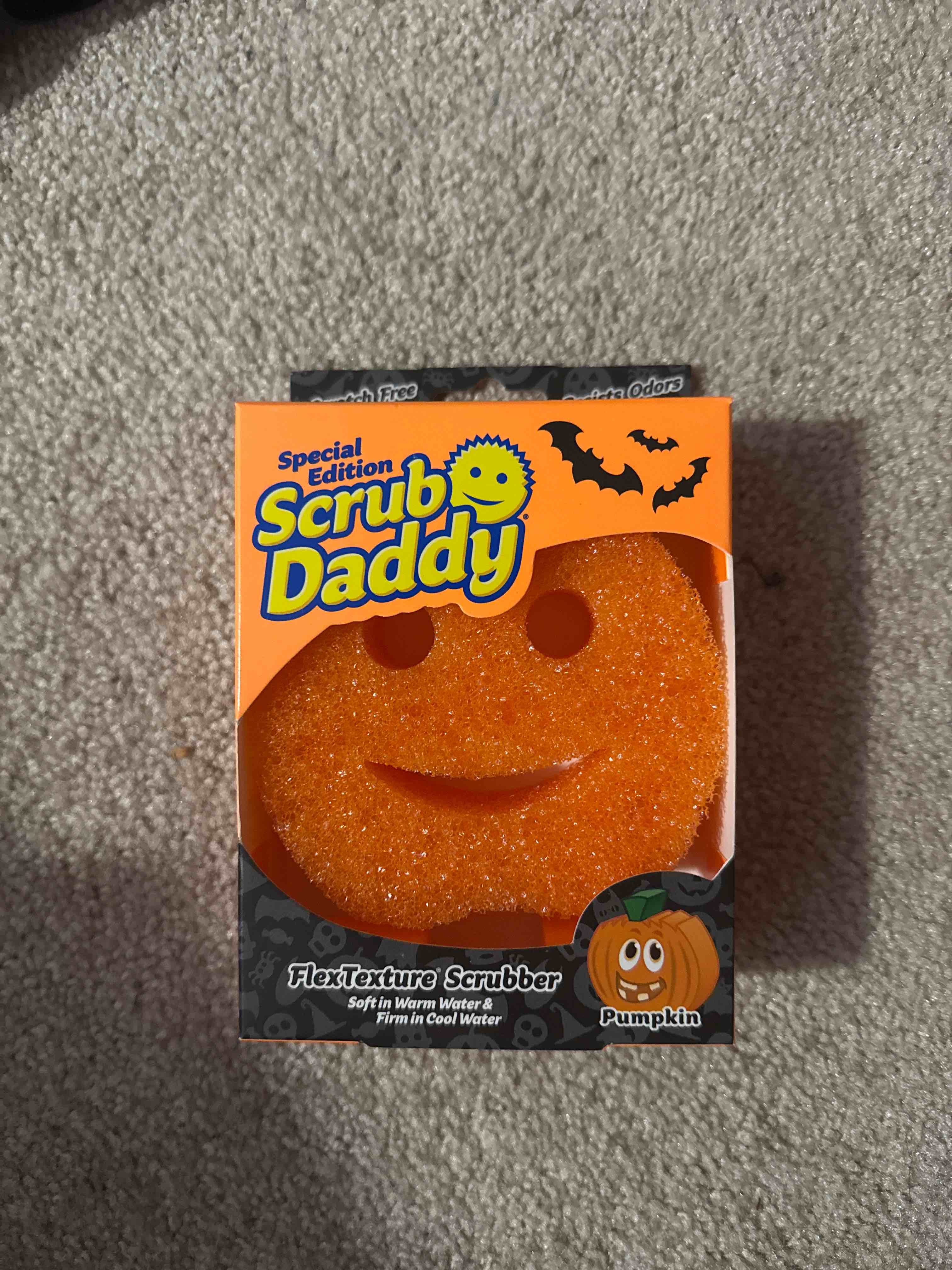 scrub daddy pumpkin