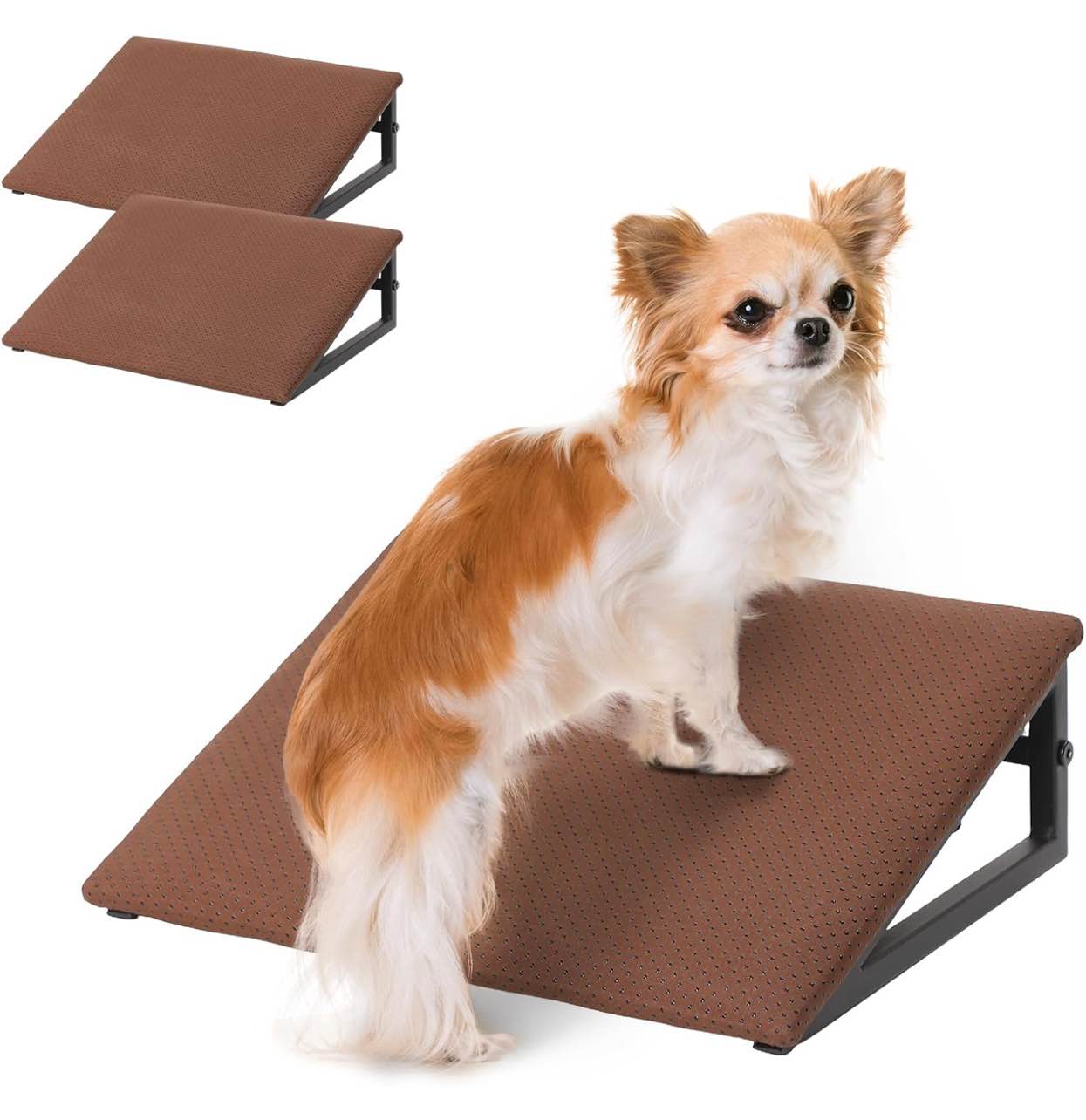 Dog ramp 