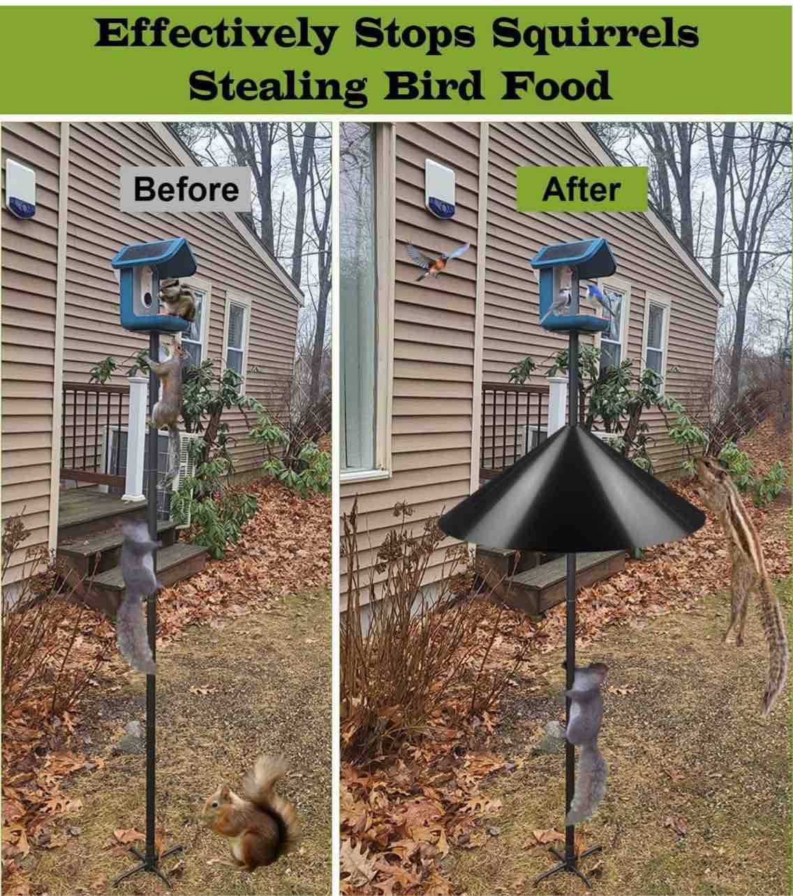 https://s3.amazonaws.com/lotting-images-prod/webster/WBS7501909_1757974441104.jpeg