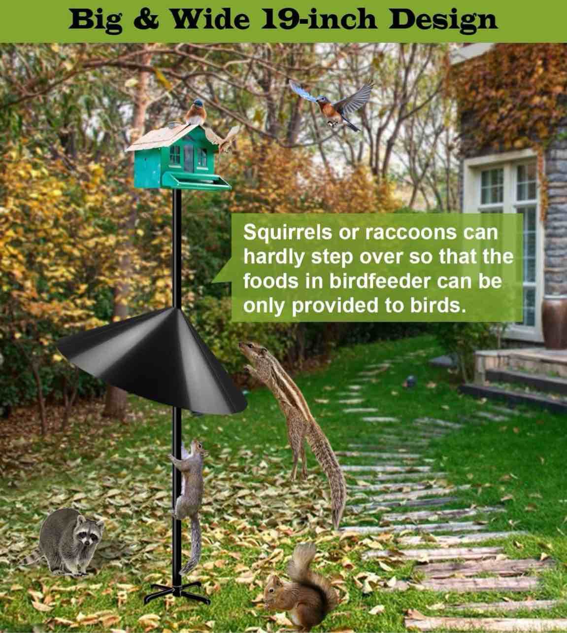 https://s3.amazonaws.com/lotting-images-prod/webster/WBS7501909_1757974443429.jpeg