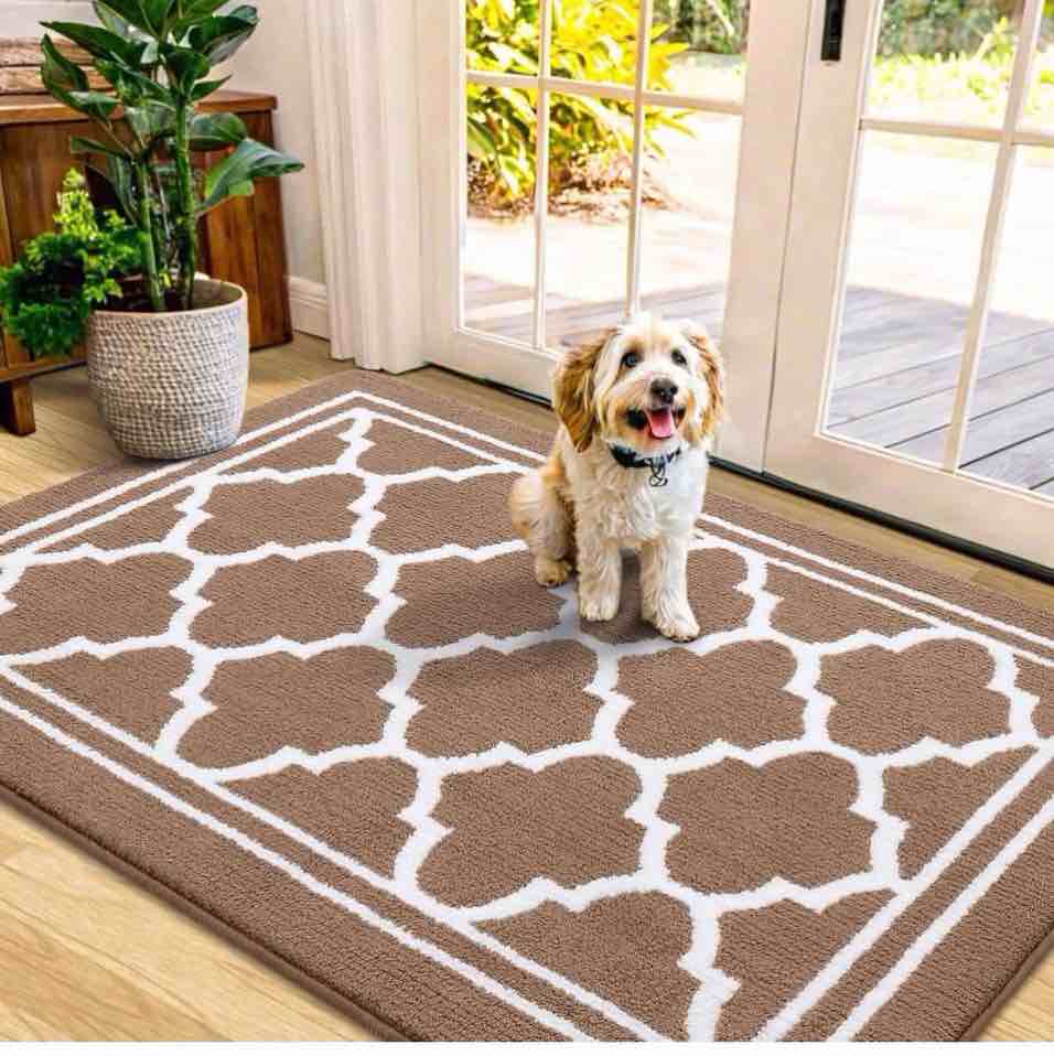 indoor door mat, dirt-resistant and absorbent doormat, anti-slip, low profile floor mats for inside entryway, front, and back door entrance (48x32 inches, brown)