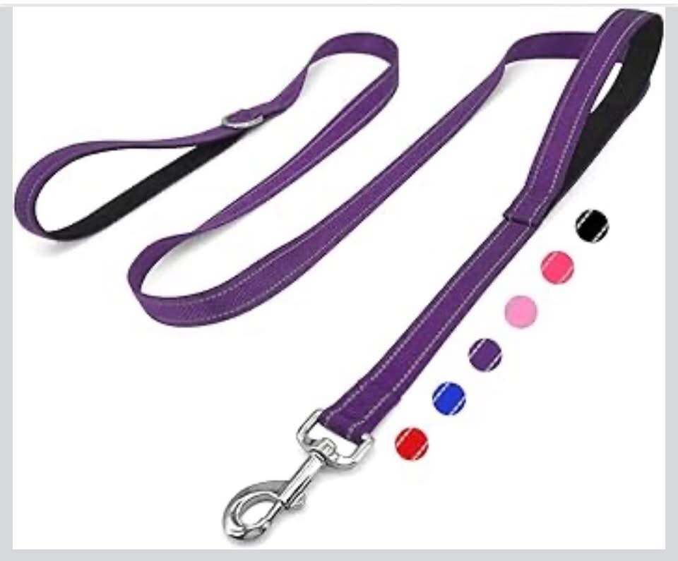 6 ft dog leash