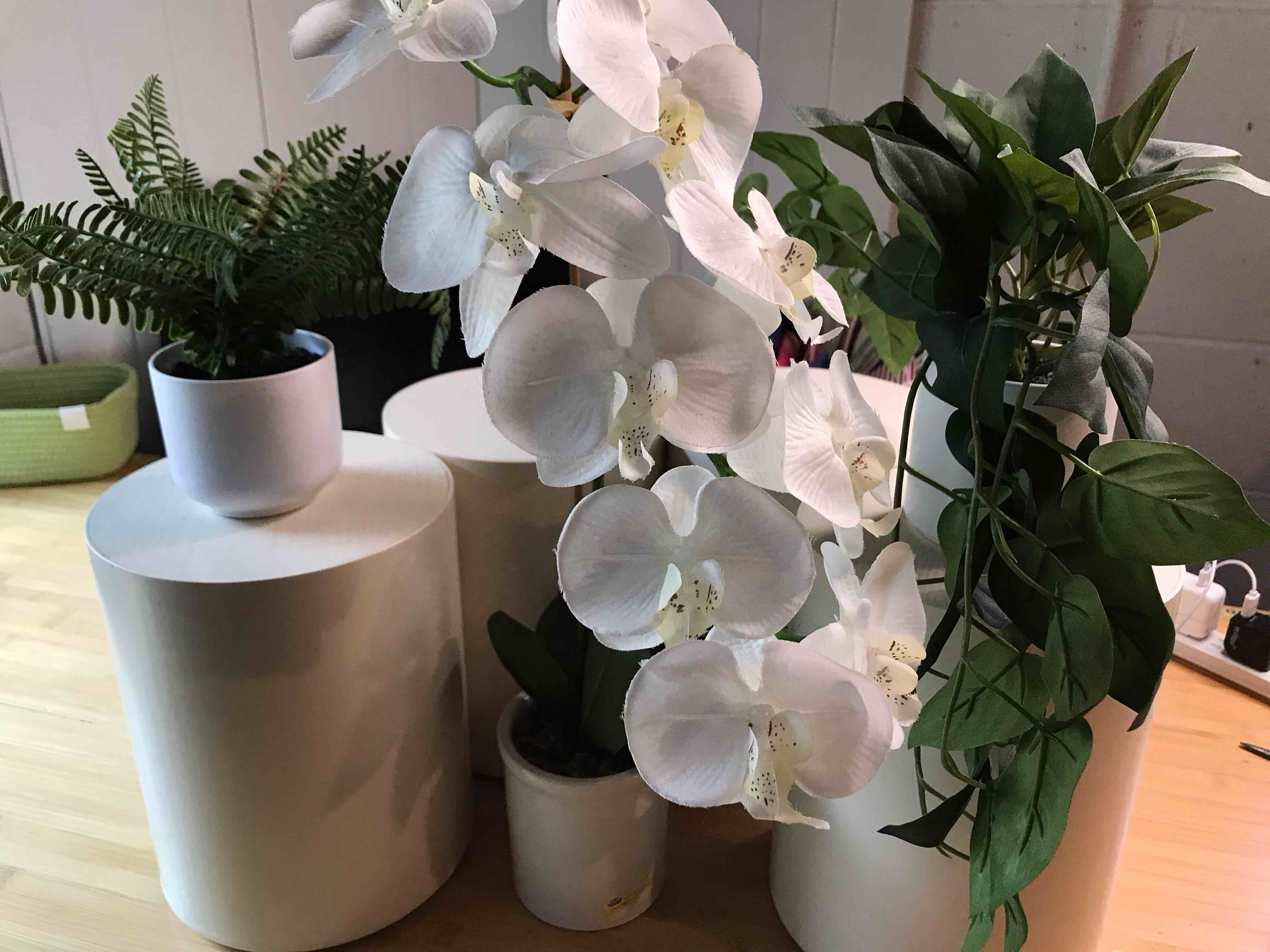 4 10” Display Pedestals with 3 Faux Plants 