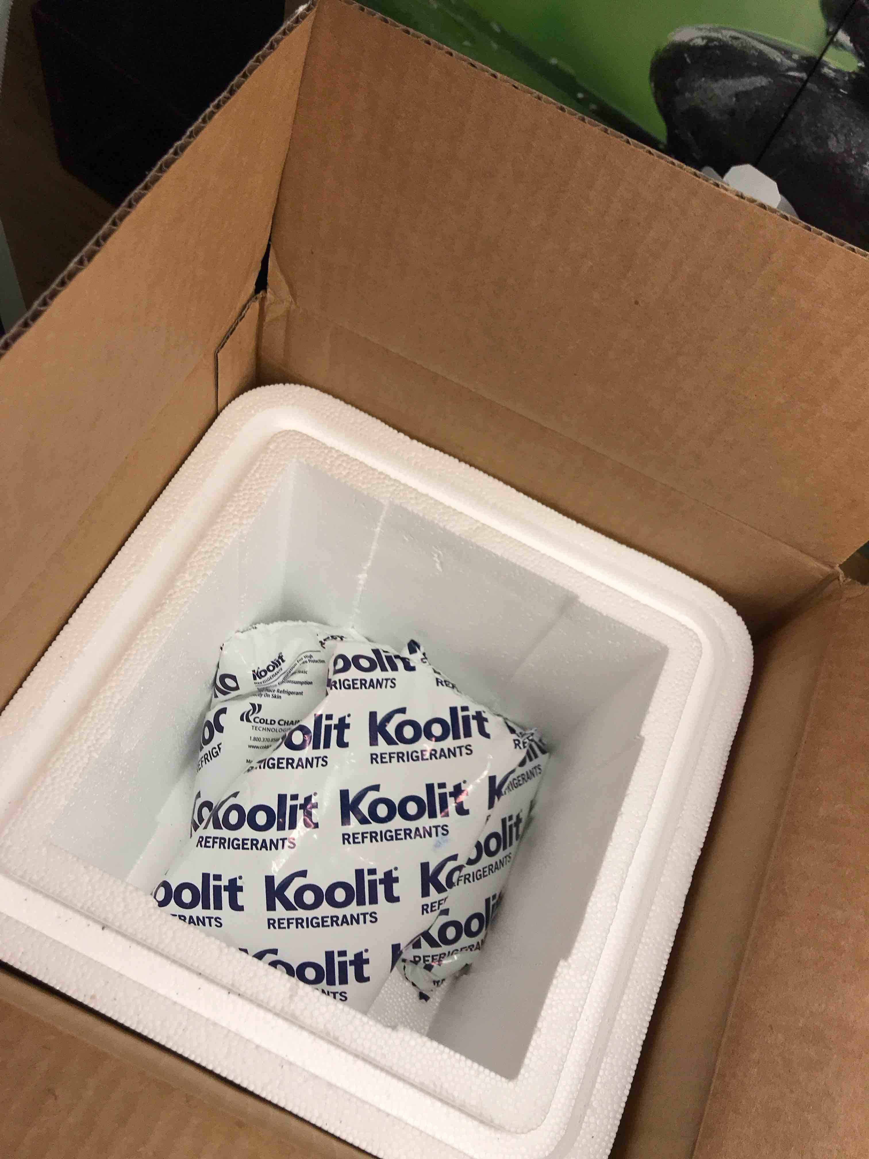https://s3.amazonaws.com/lotting-images-prod/webster/WBS7801226_1756221943747.jpeg