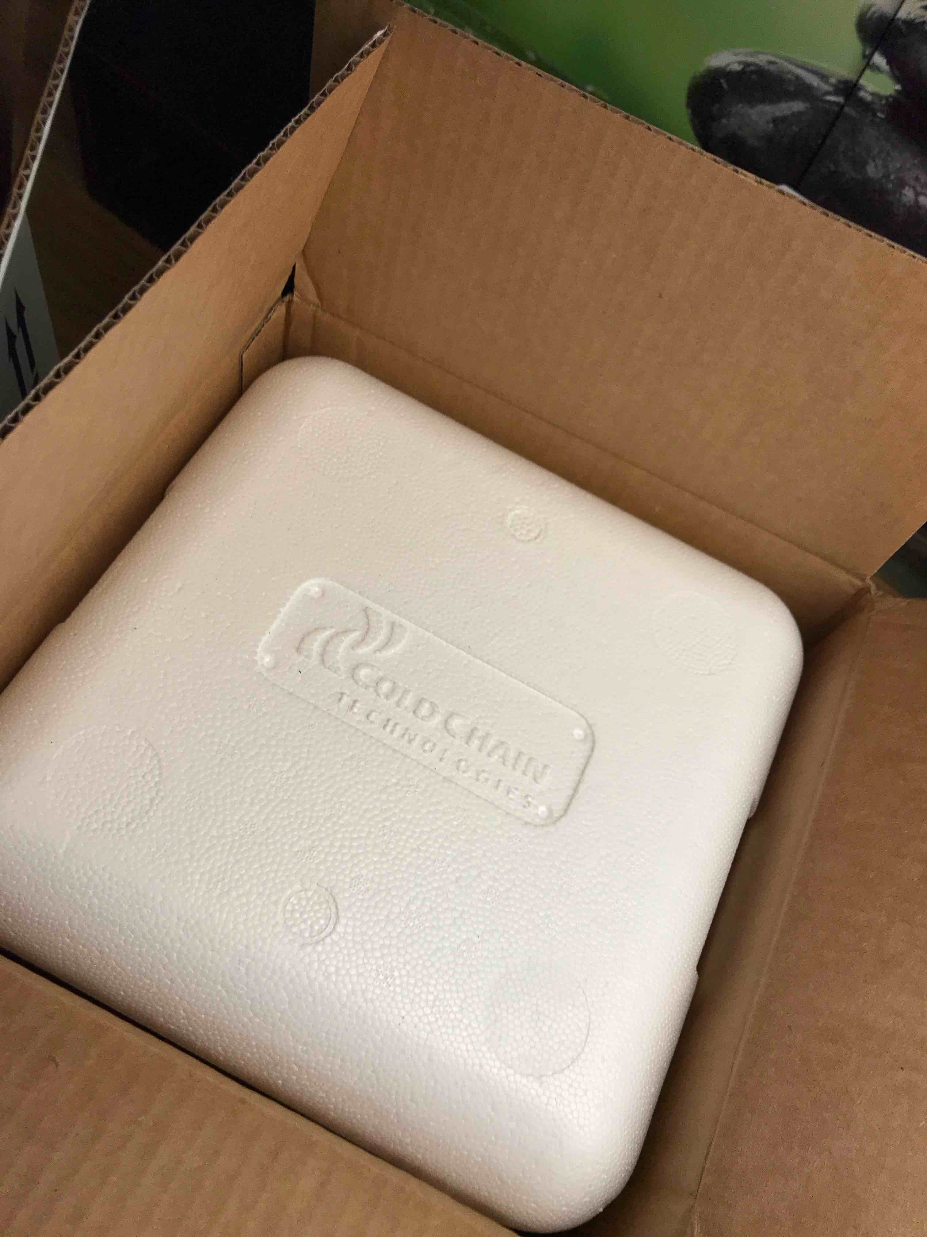 https://s3.amazonaws.com/lotting-images-prod/webster/WBS7801226_1756221948453.jpeg