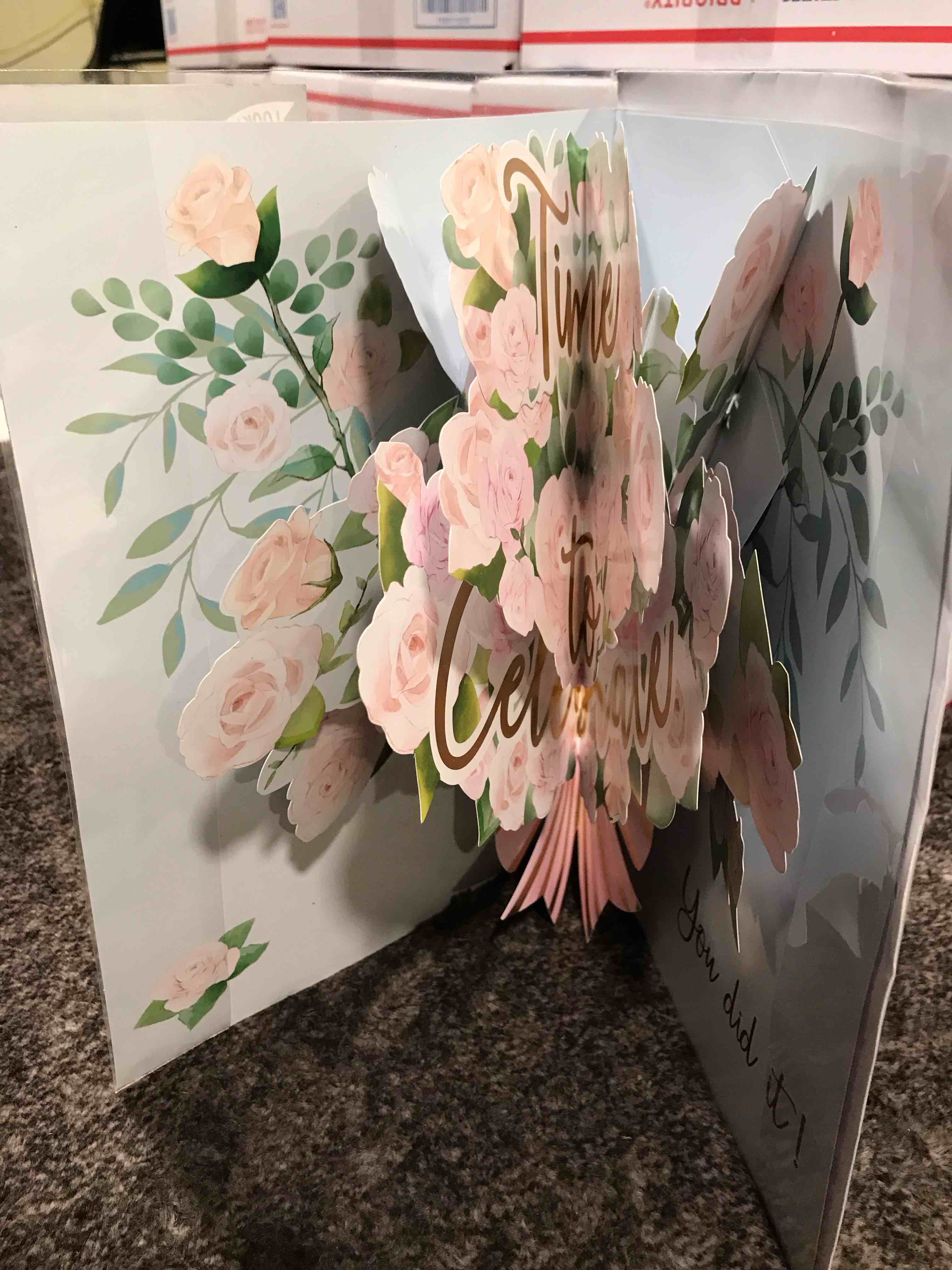 Condition photo showing New/Like New for Graduation Bundle