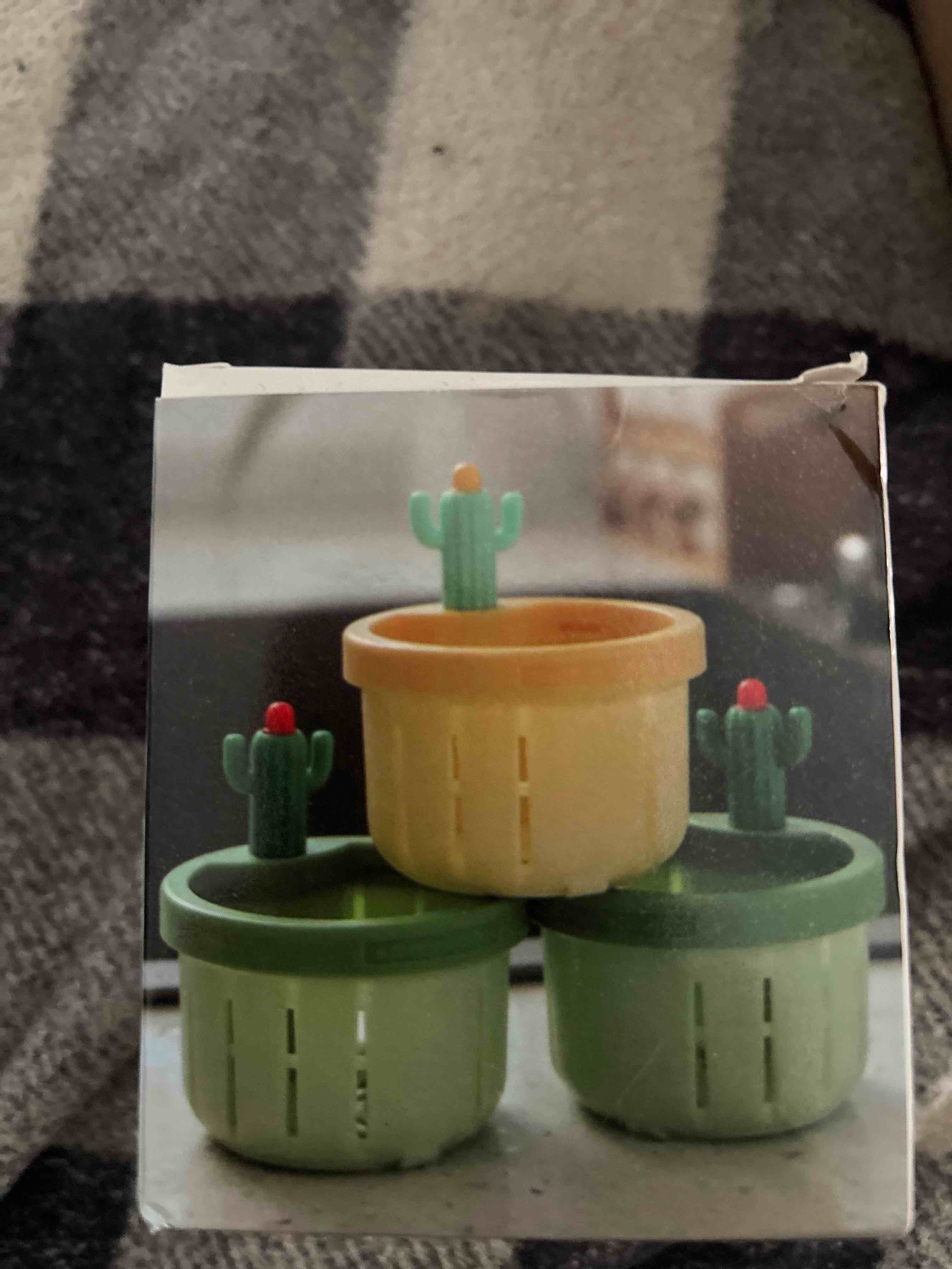 drain strainer 