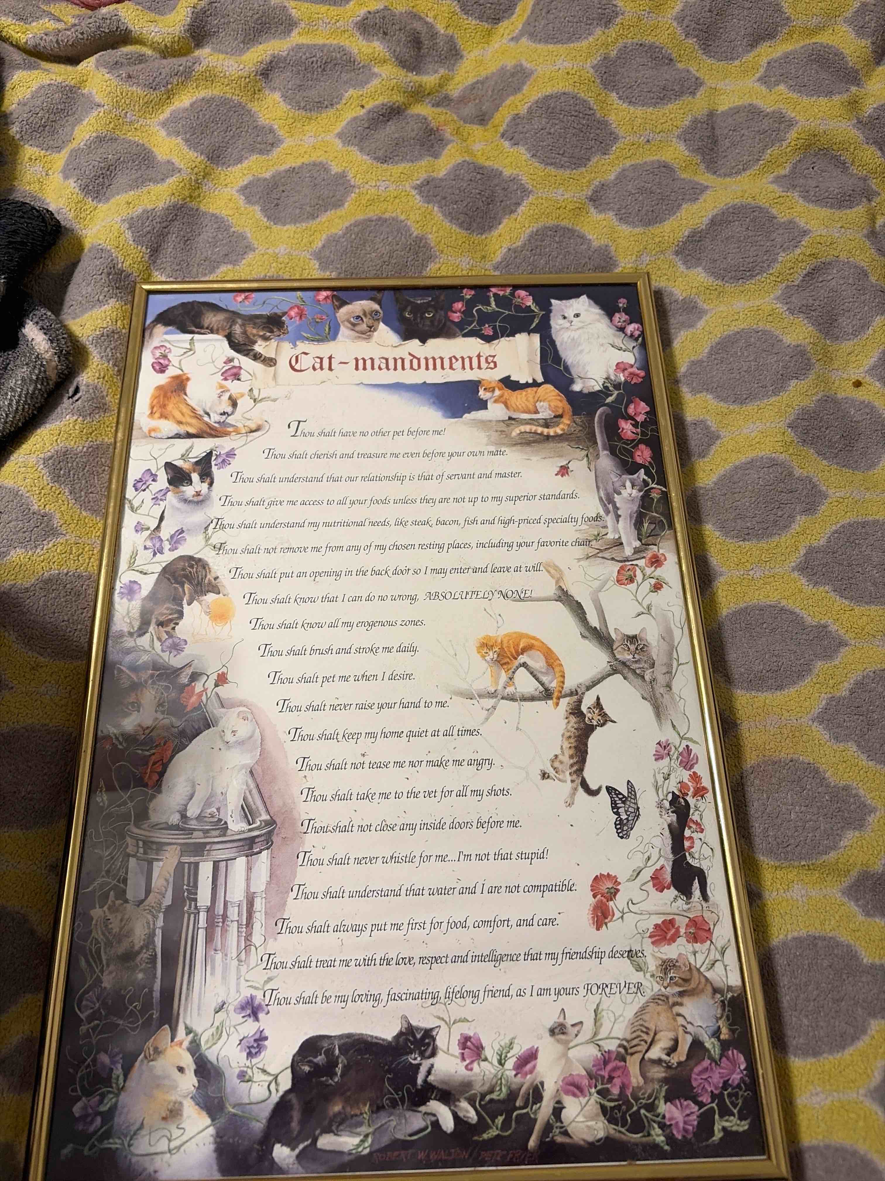 cat-mandments picture