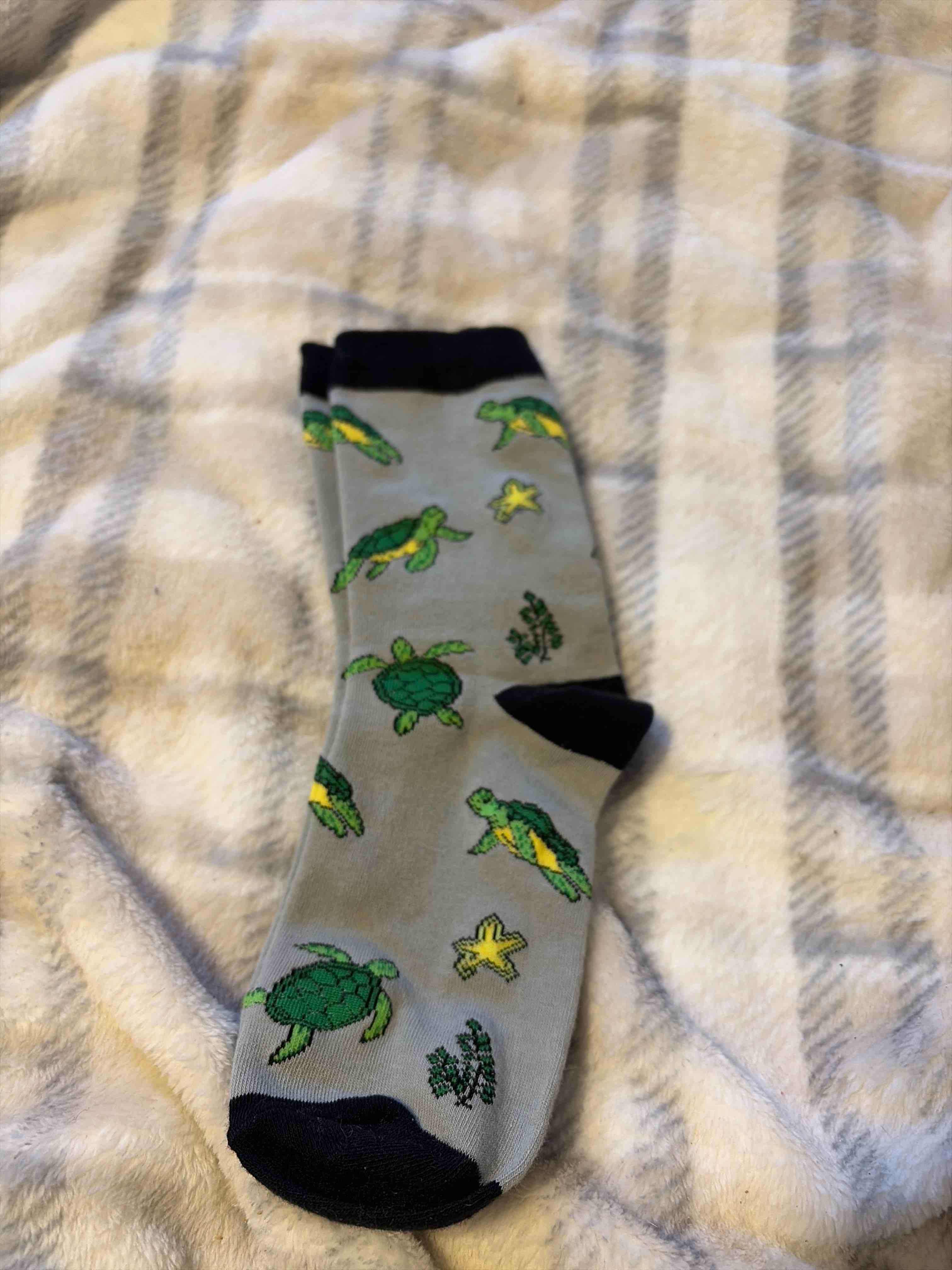 Condition photo showing New/Like New for adult size socks