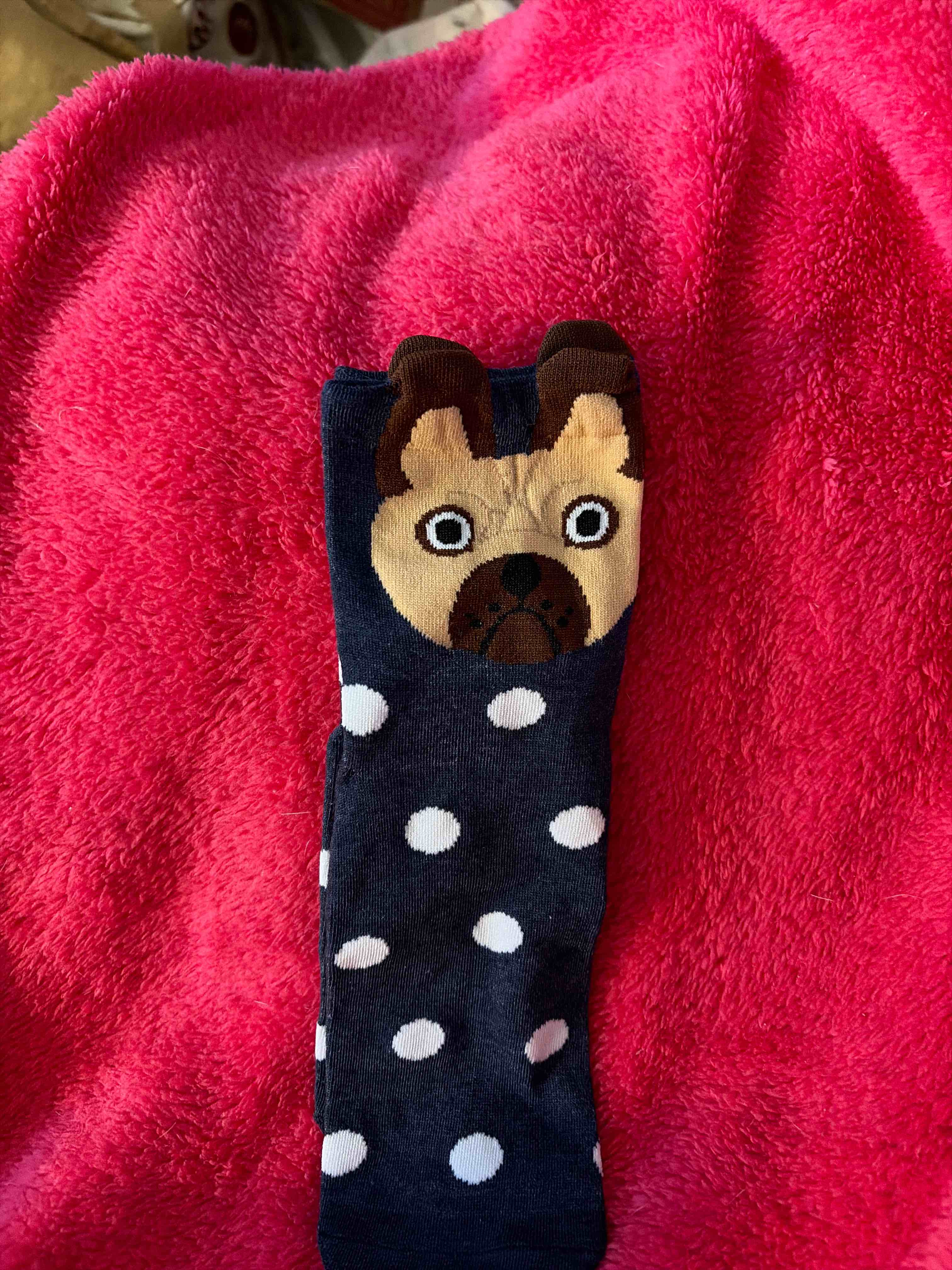 Condition photo showing New/Like New for socks adult sized 