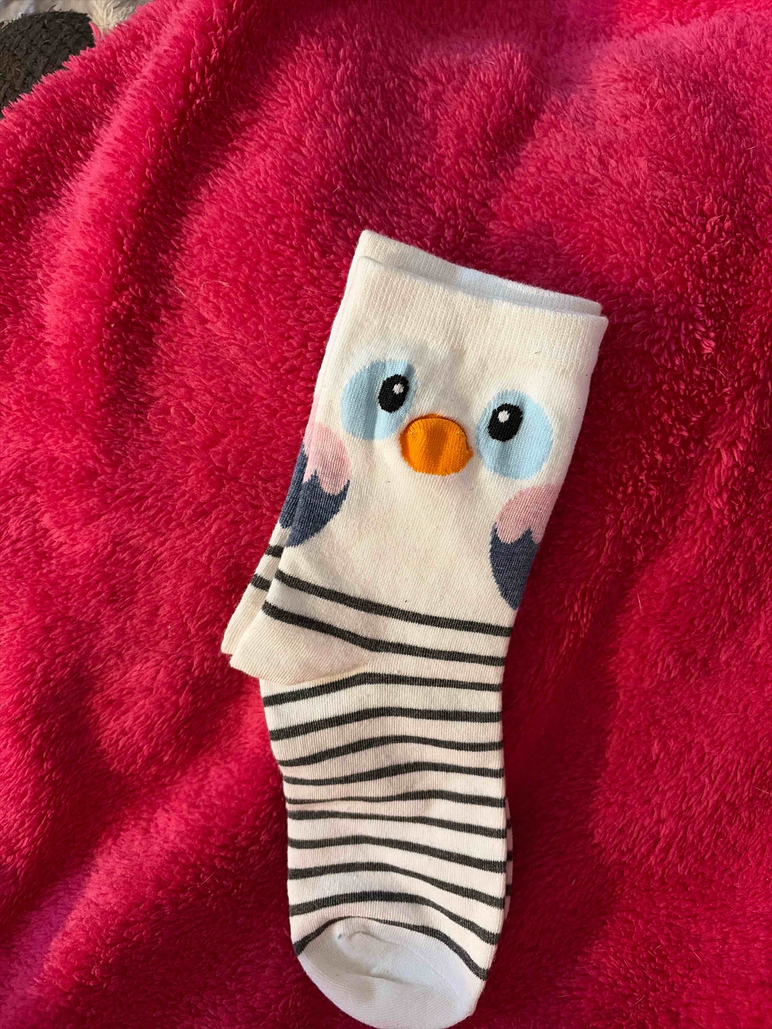 Condition photo showing New/Like New for socks adult sized 