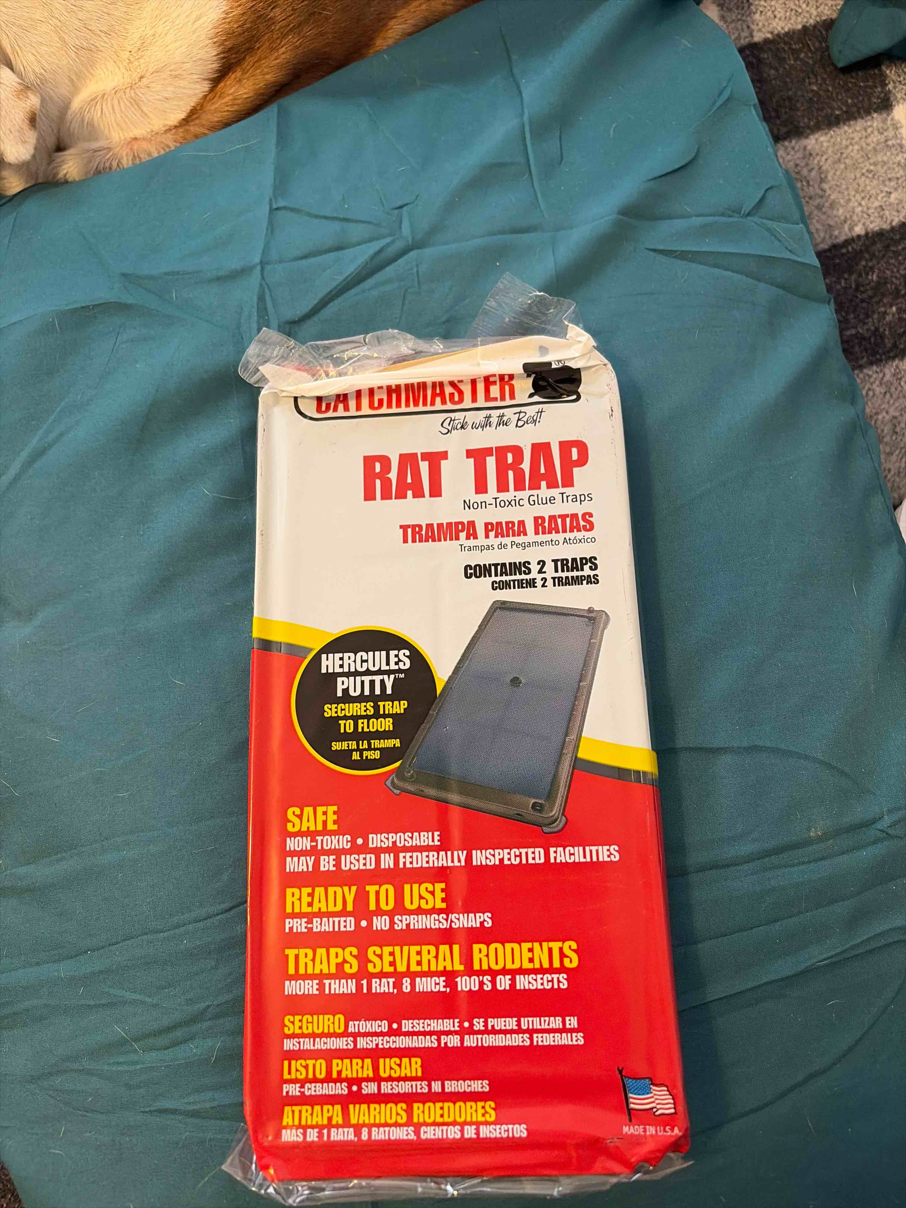 Condition photo showing New/Like New for Mouse/rat trap 2 in pack 