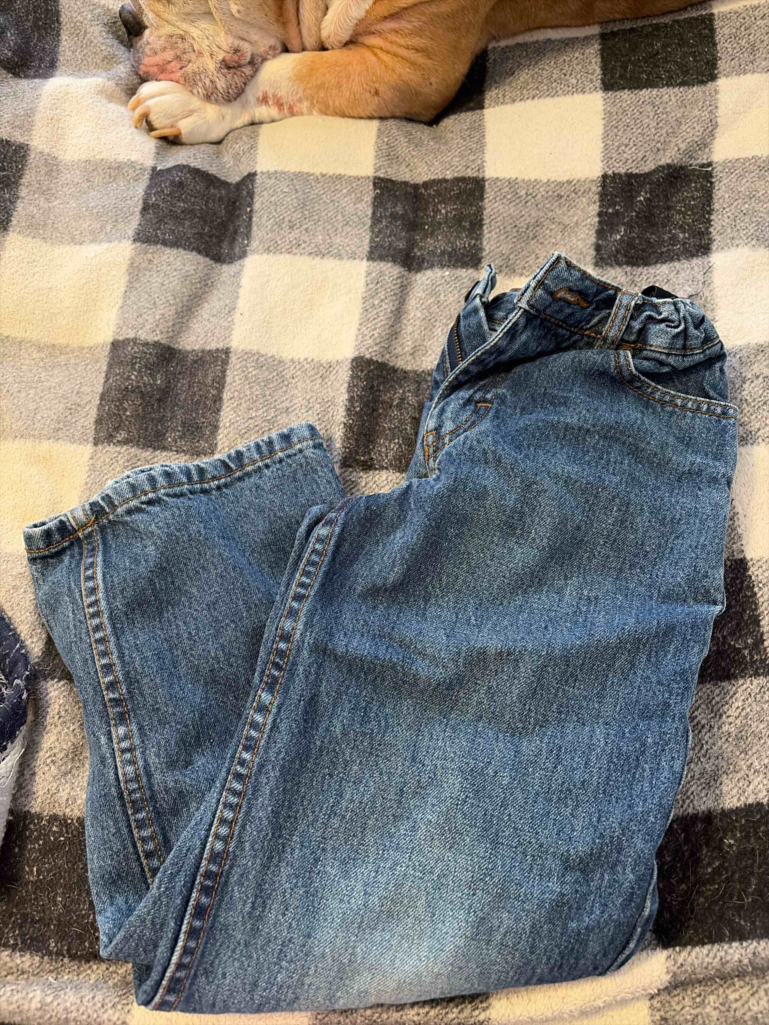 Condition photo showing Good Condition for jeans size kids 8P