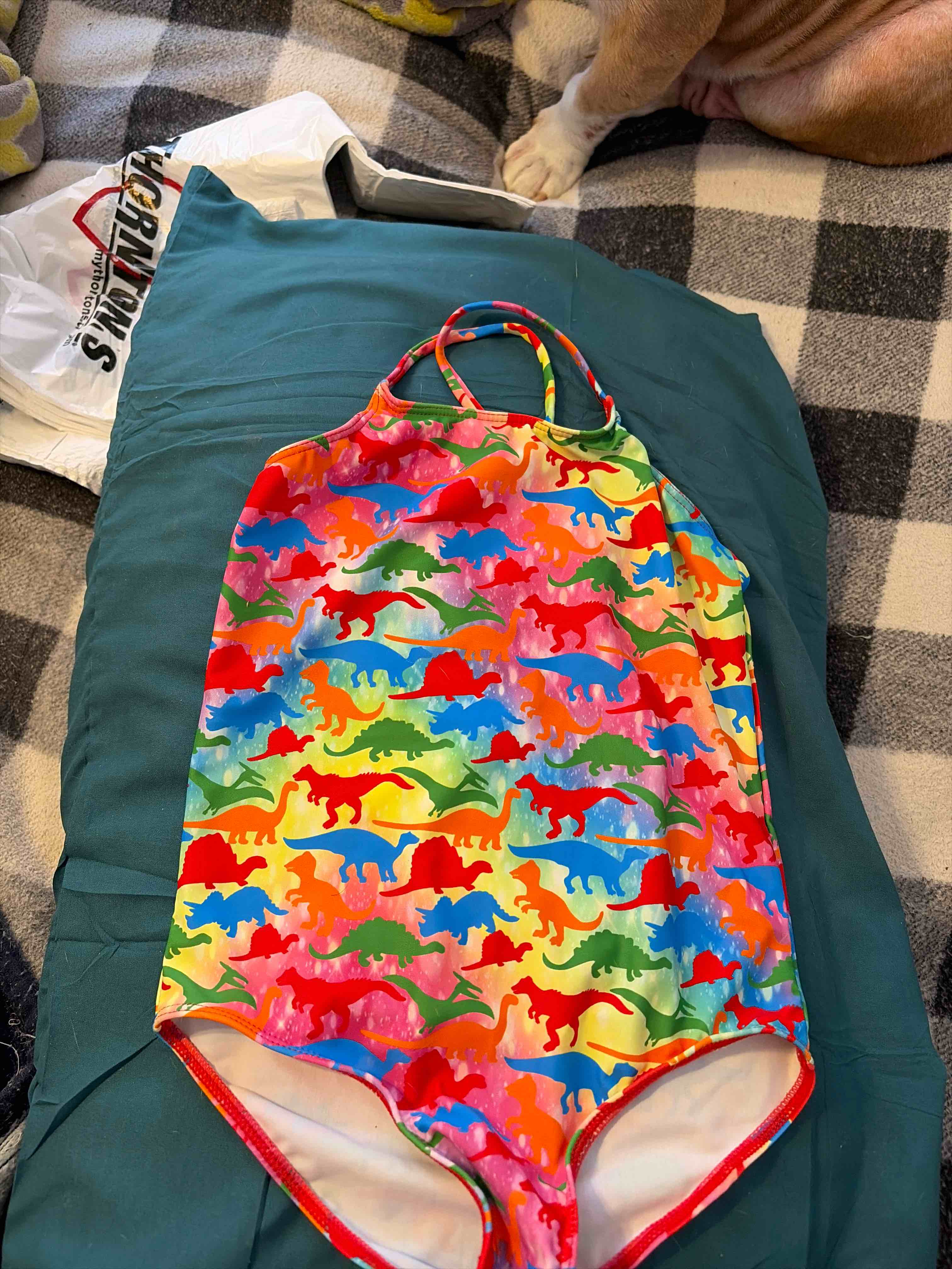 Condition photo showing New/Like New for kids swimsuit size large dinosaur