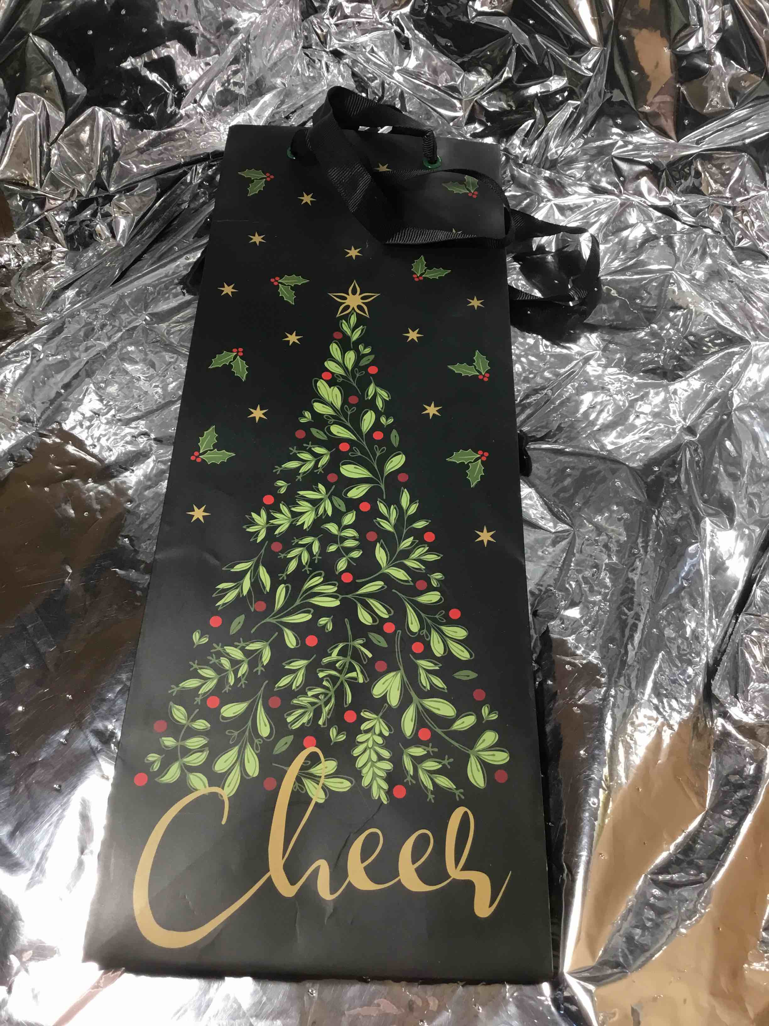 Paper Images Bottle Holiday Gift Bag