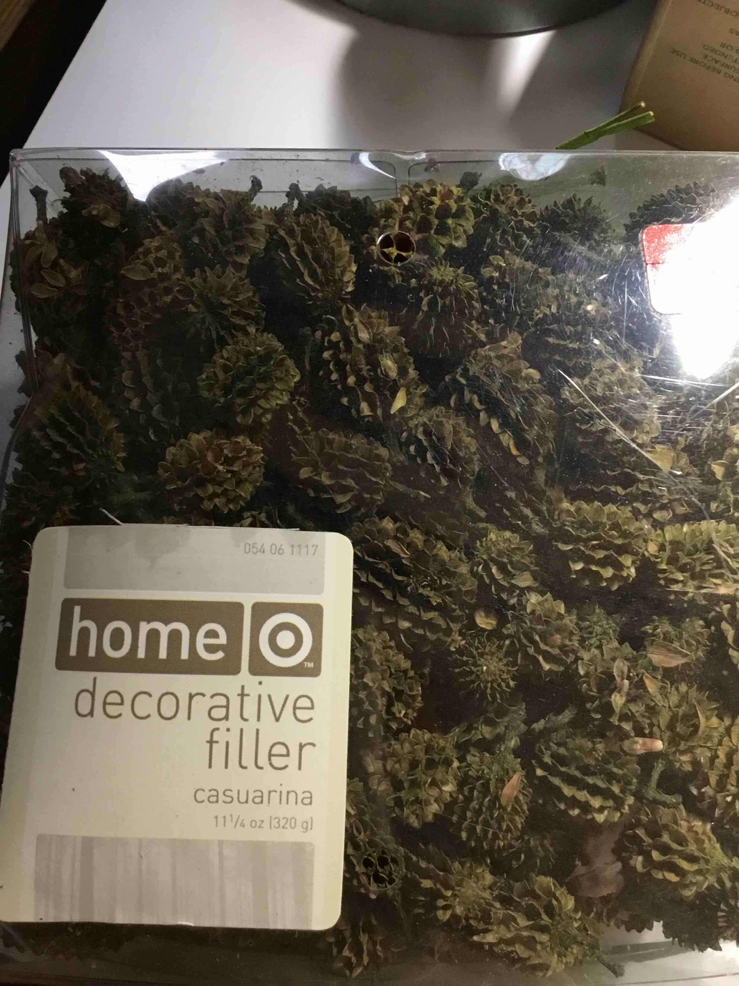 Decorative filler (casuarina cones