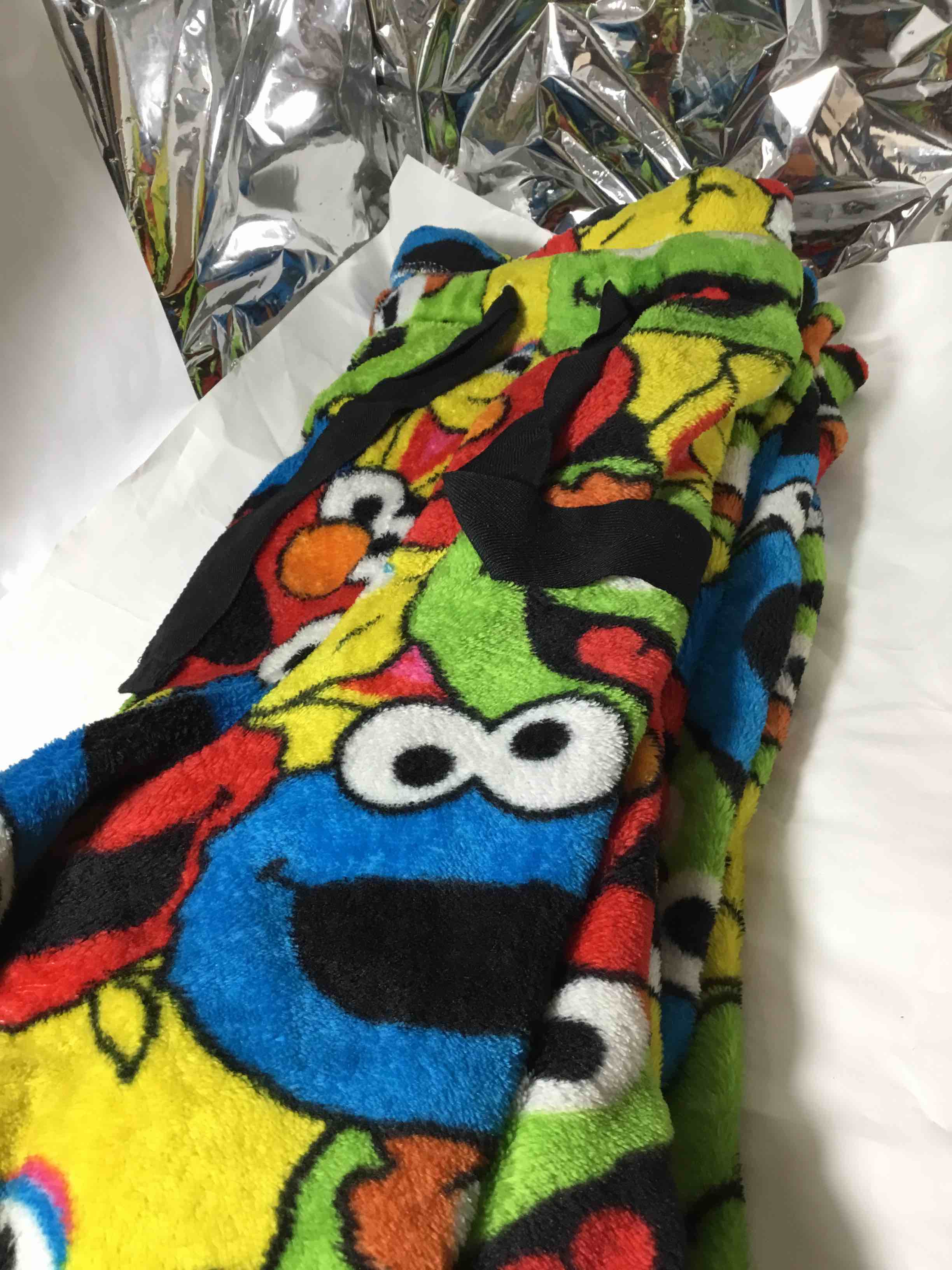 (XL) 16-18 Sesame Street themed fleece pants
