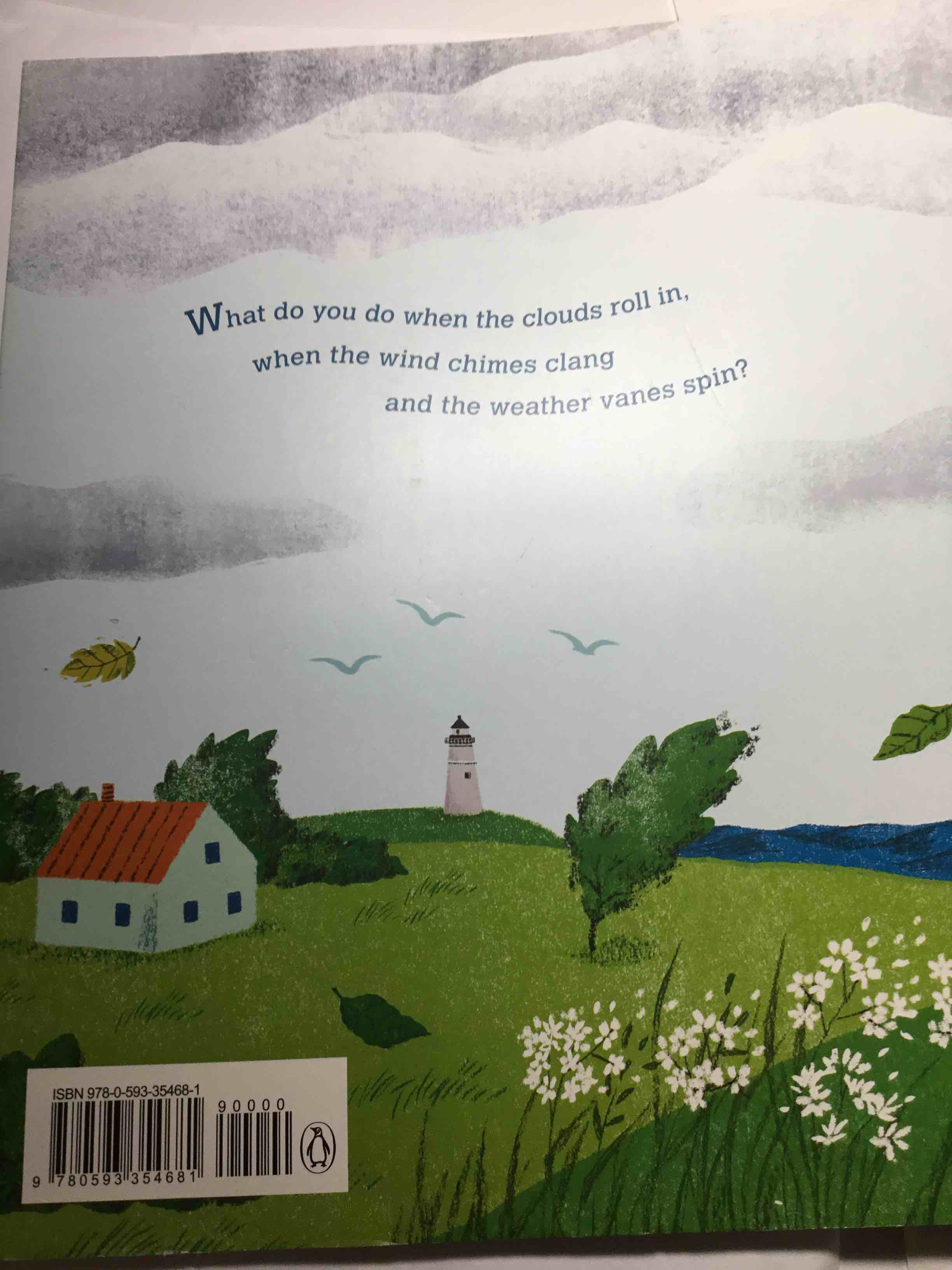 Condition photo showing New/Like New for When the Storm Comes