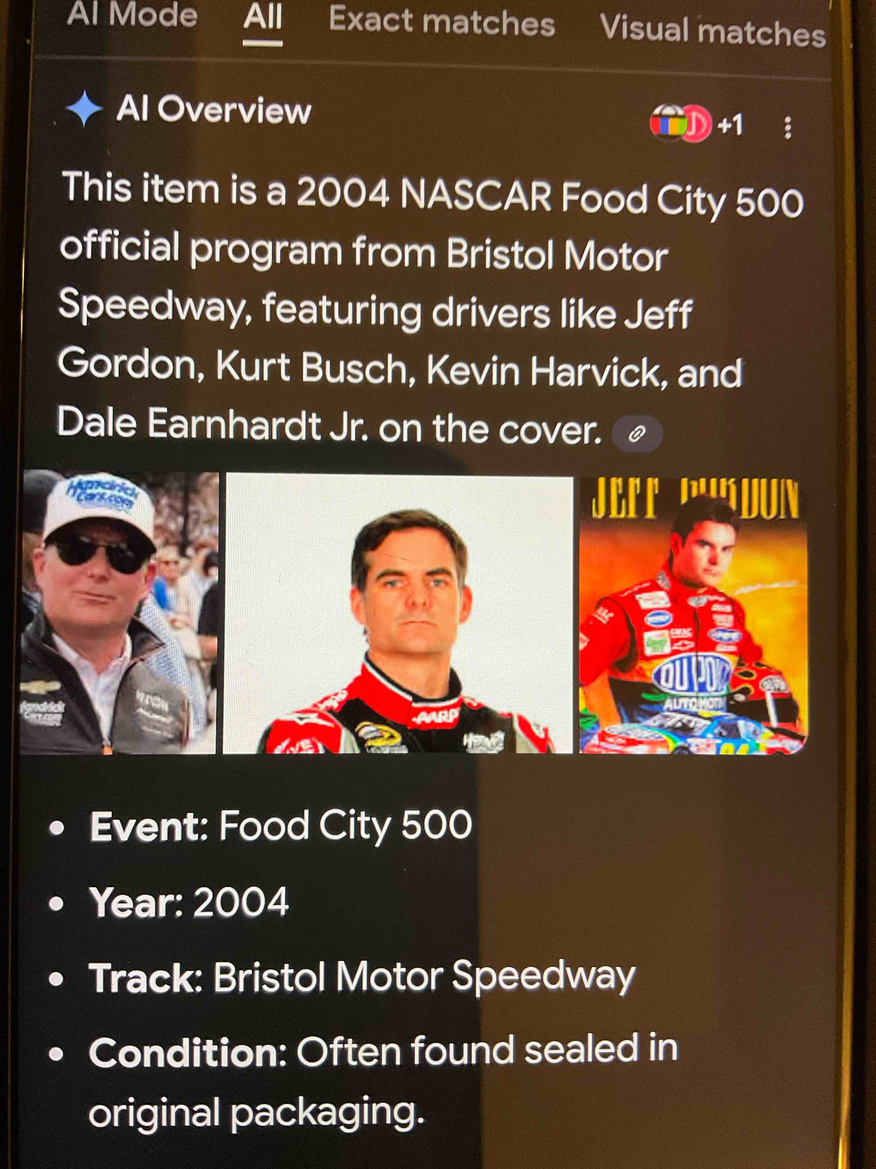March 2004 Food City 500  Bristol Motor Speedway Magazine 