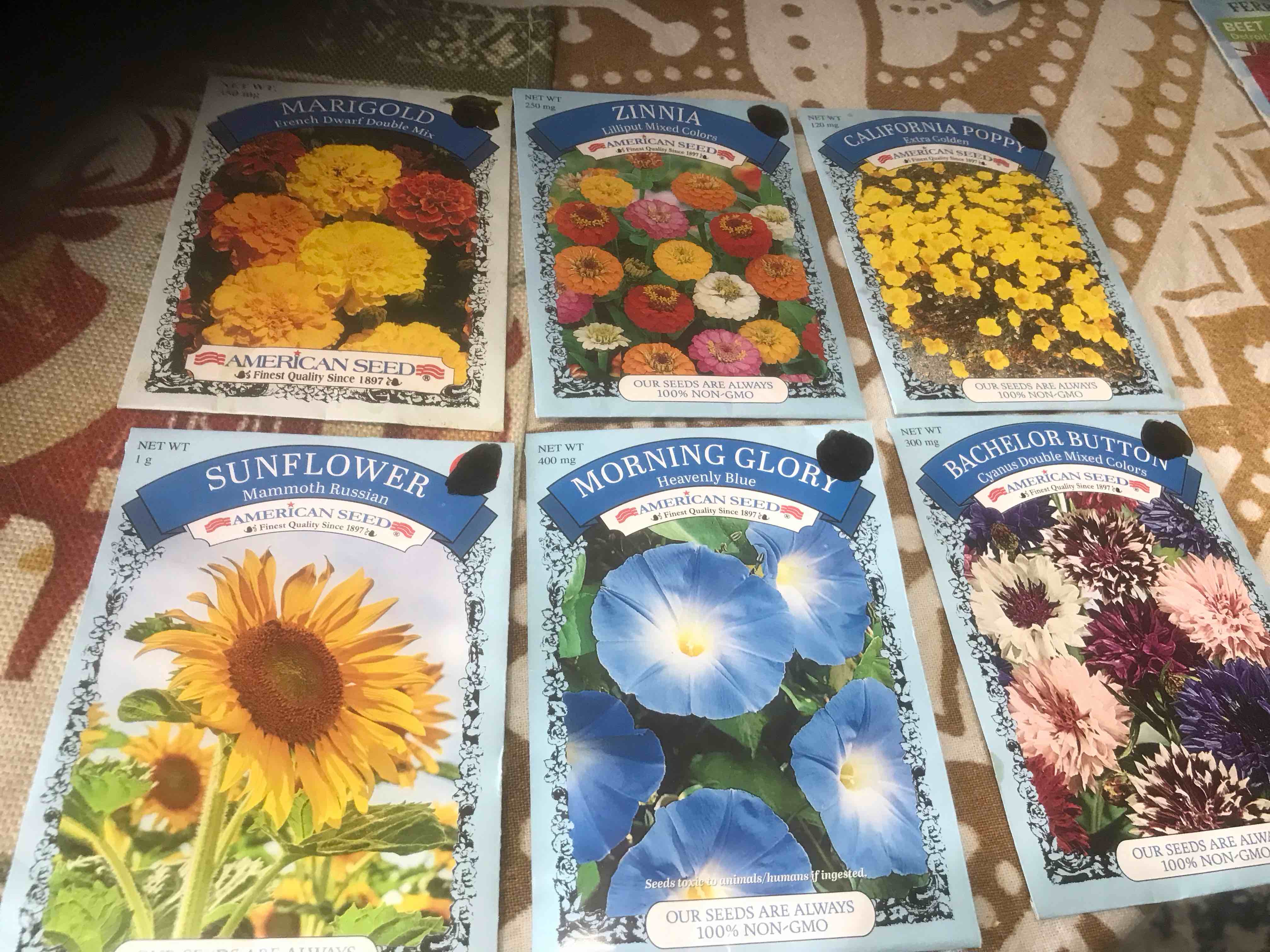 variety, flower seeds