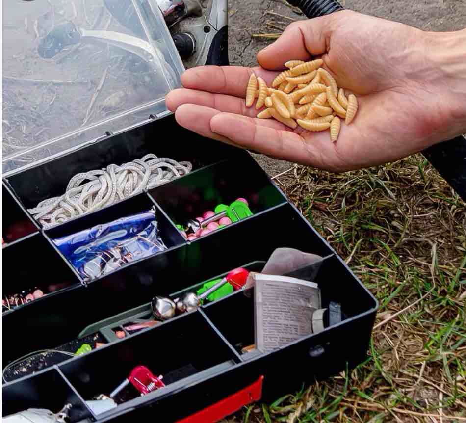 Condition photo showing New/Like New for 30 pc Fake Worms, 20mm Soft Fishing Lure Plastic Maggots Baits Worm, Realistic Wax Worm For Freshwater Ice Lure Fishing Bass, Effective For Catching Fish, Fishing Gear, Easy To Use