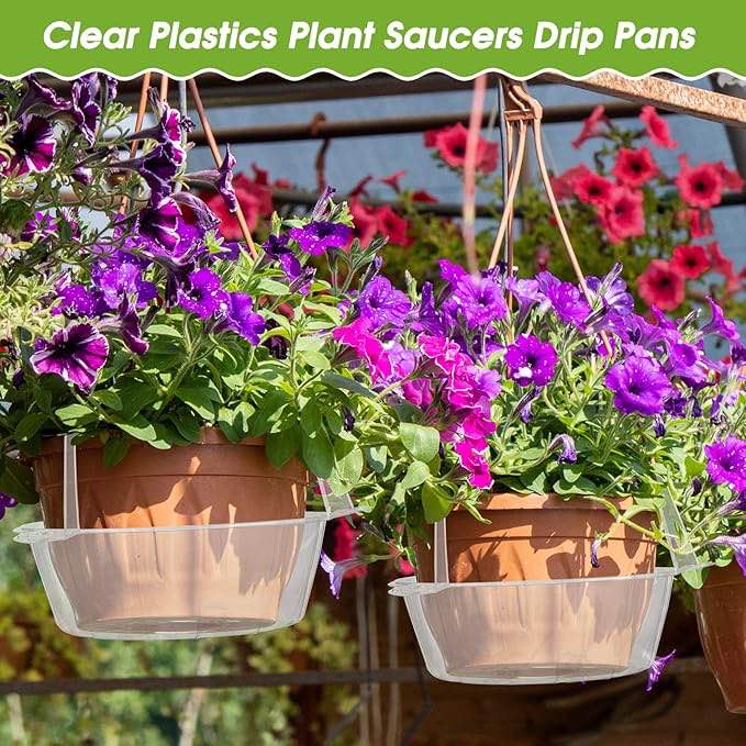 Condition photo showing New/Like New for 10 Inch Hanging Plant Water Catcher Bulk Plastic Plant Saucers Drip Pans for Plants Water Catcher for Indoor Outdoor Hanging Basket Flower Pot
