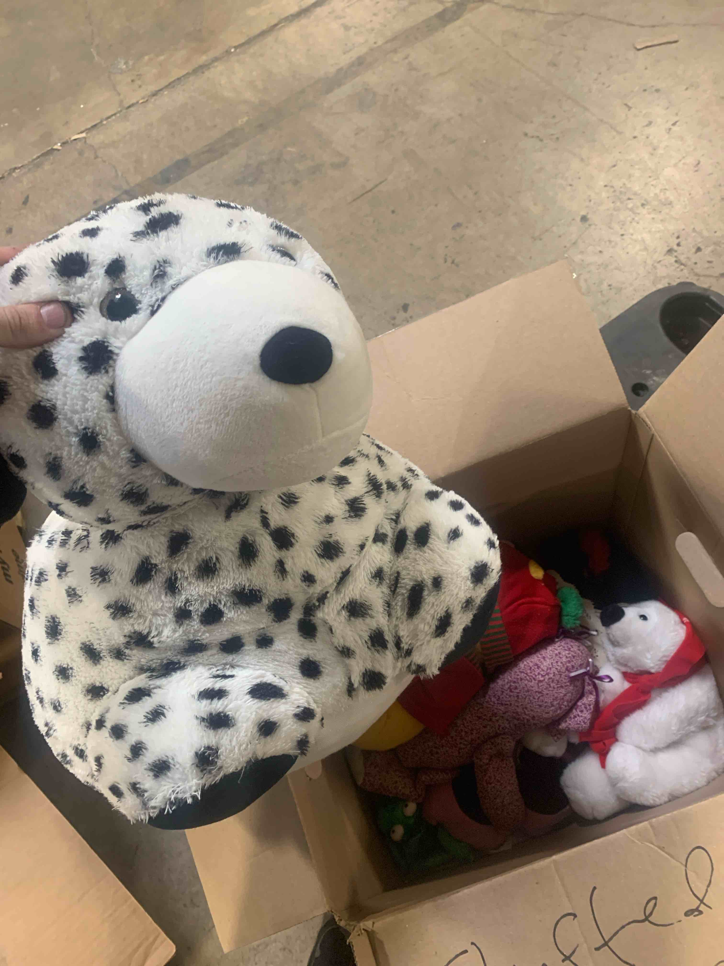 Big Box of Stuffed Animals - Pooh, Minnie, Minions, More 