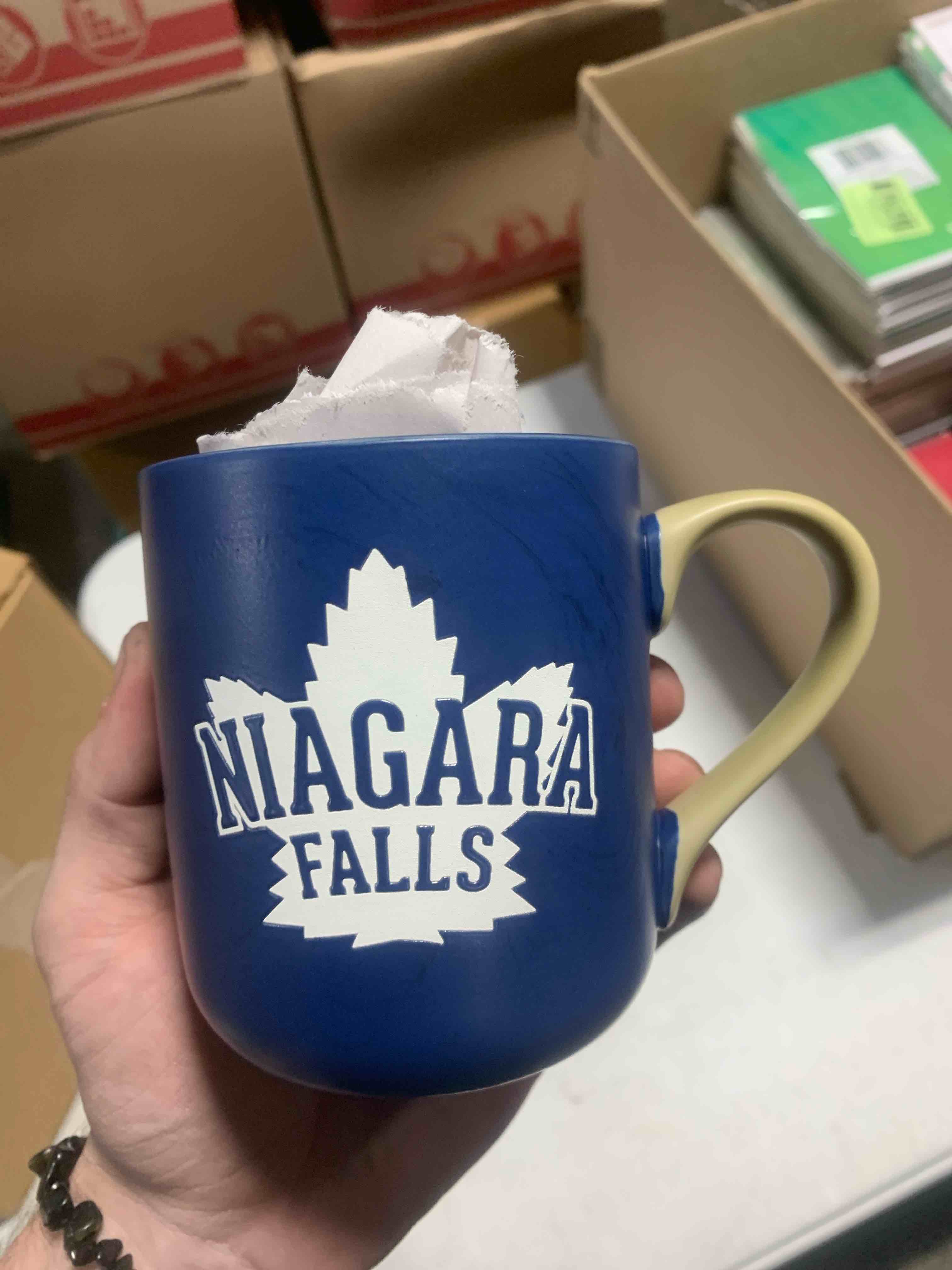 Niagara Falls Facts Blue Mug 