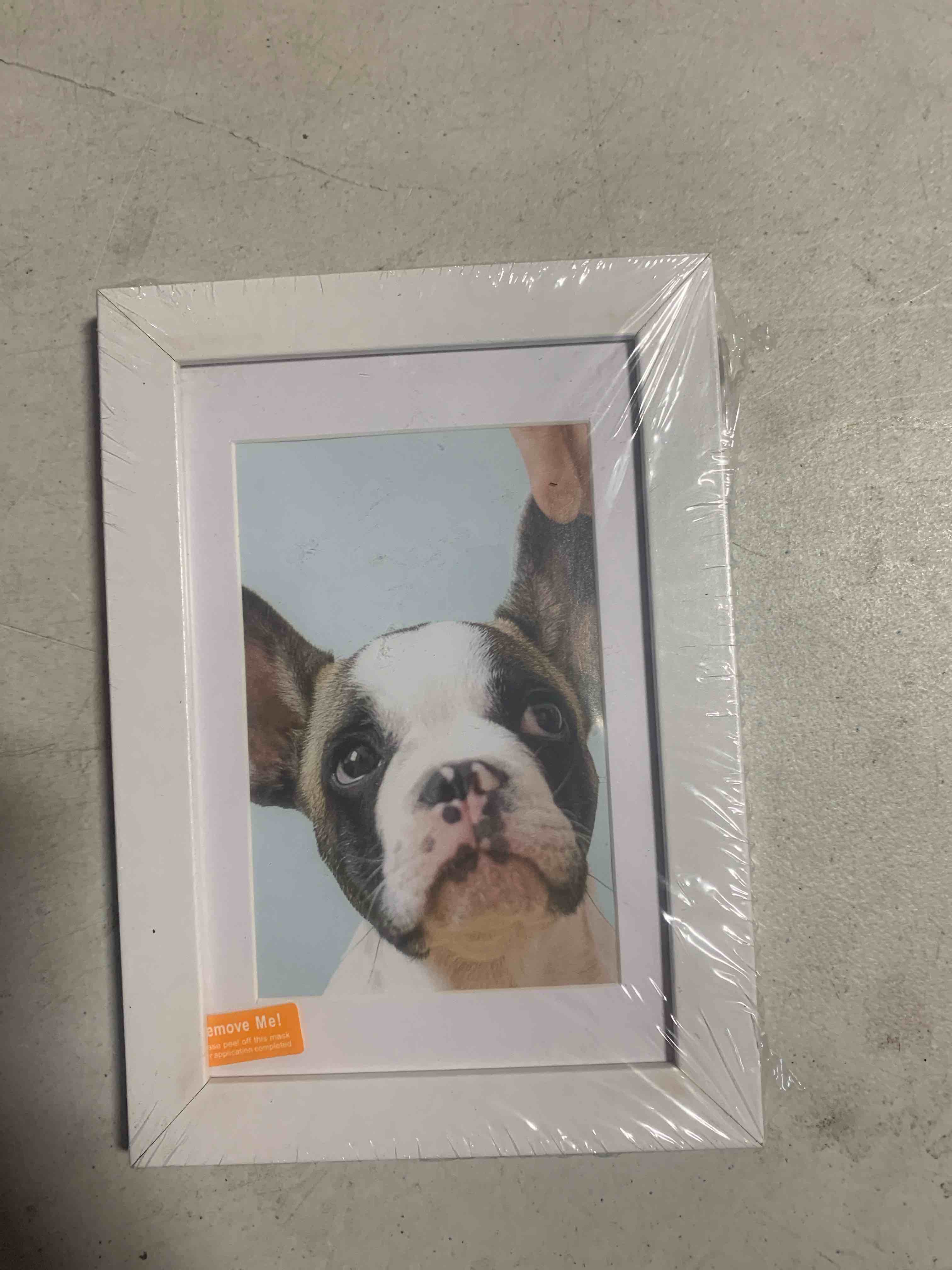 https://s3.amazonaws.com/lotting-images-prod/webster/WBS9583496_1760457642234.jpeg