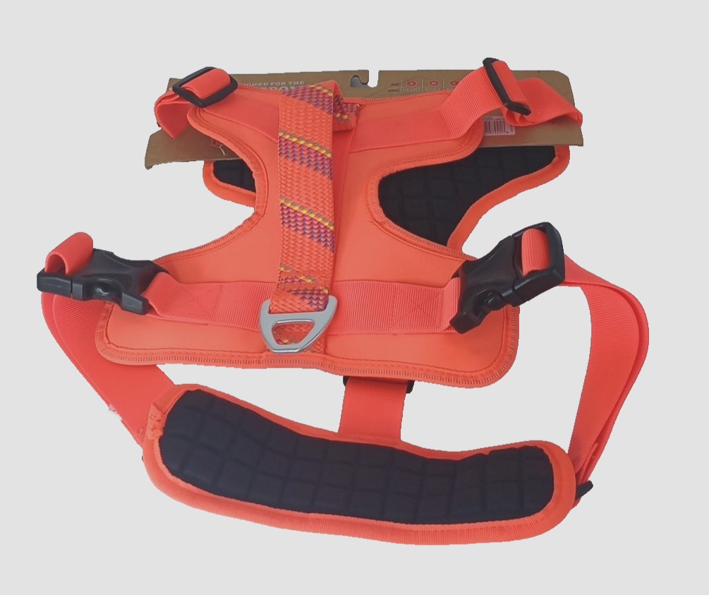 https://s3.amazonaws.com/lotting-images-prod/webster/WBS9585287_1761058627978.jpeg