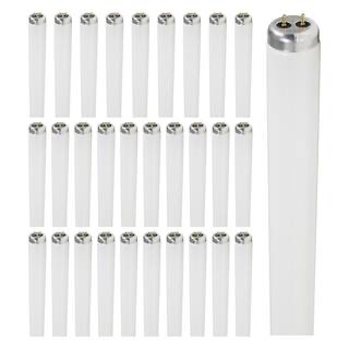 Unveiling extraordinary finds daily.