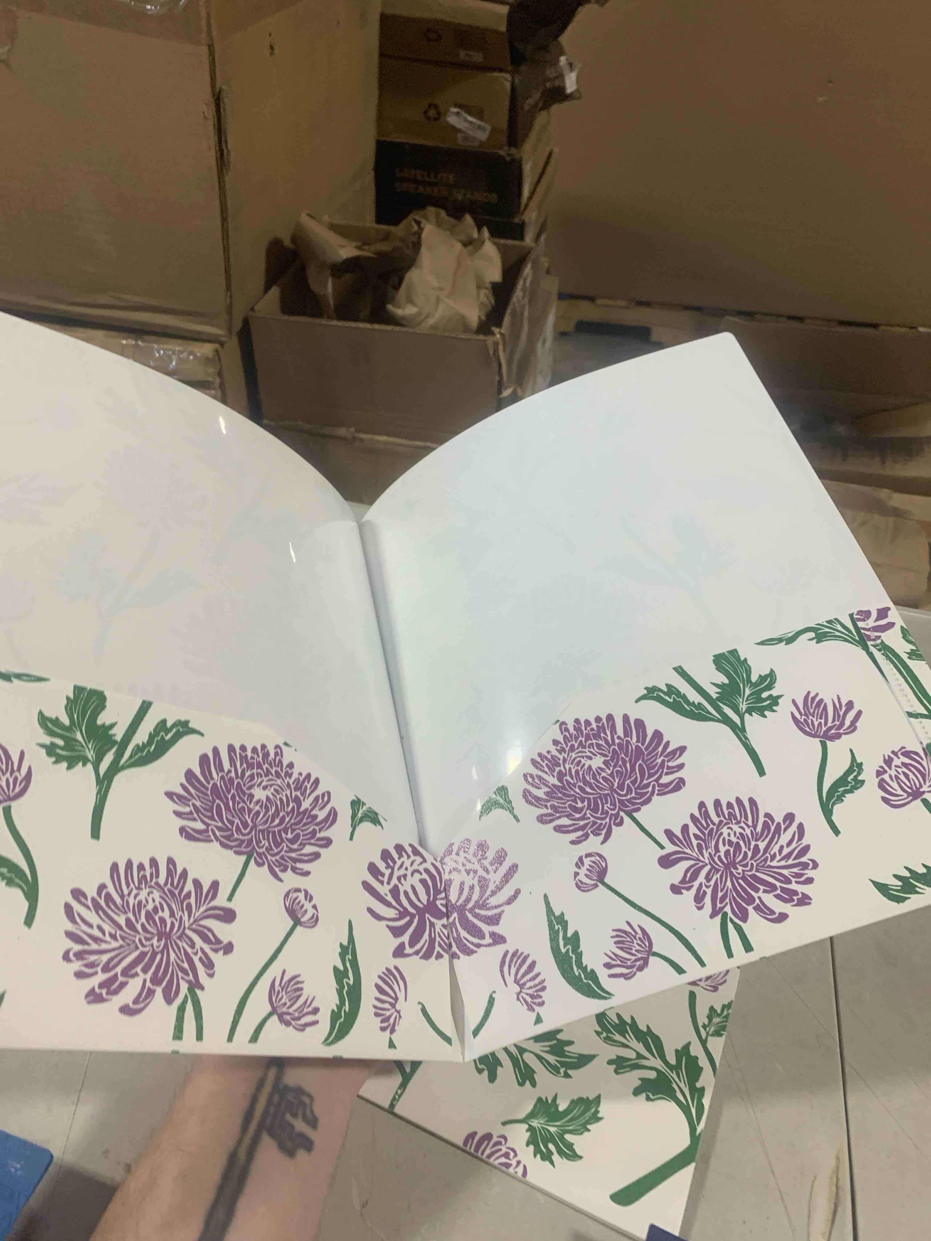 Condition photo showing New/Like New for Decomposition Book 2 Pocket Plastic Folder Chrysanthemums, School Supplies