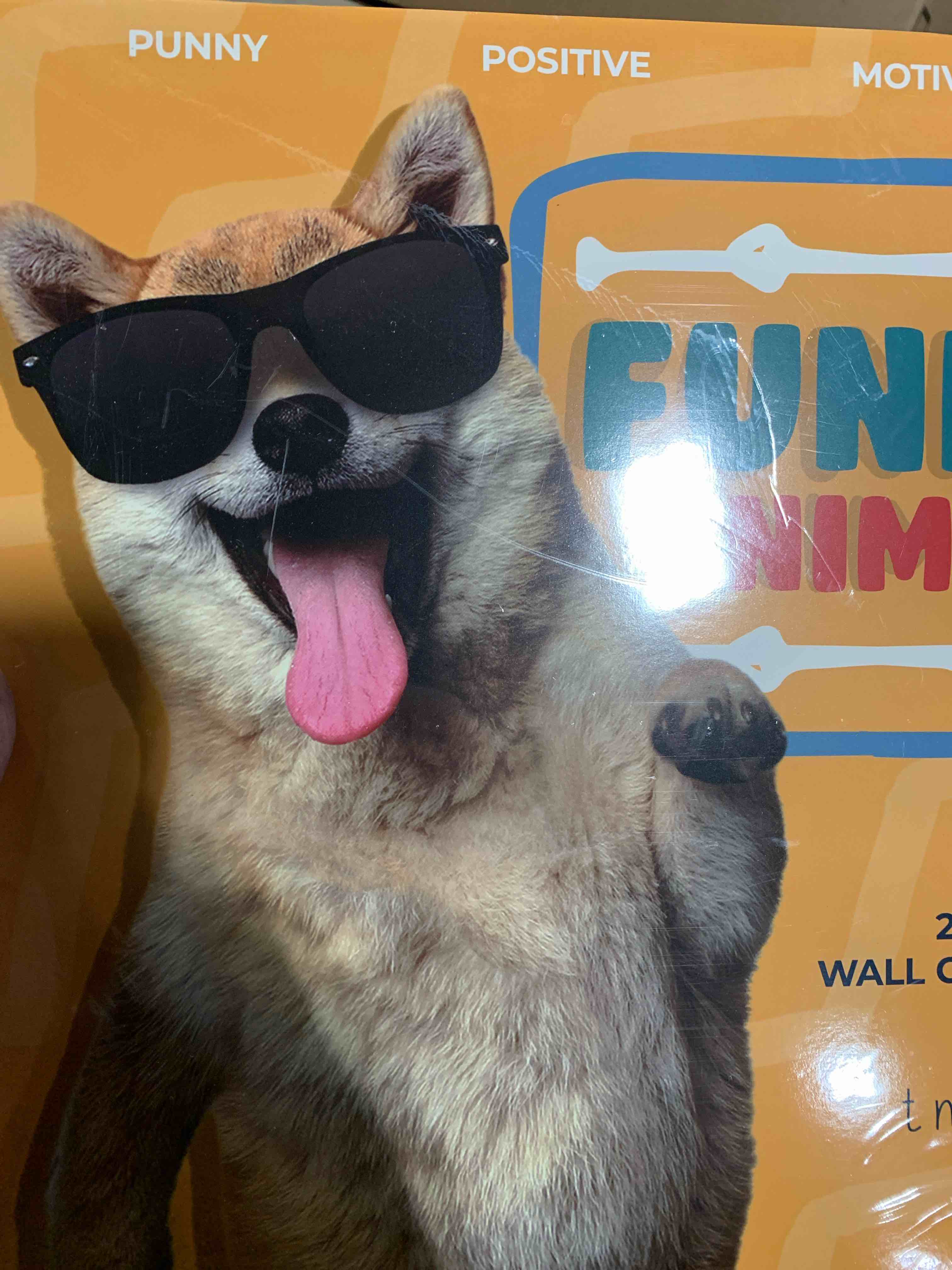 Condition photo showing item condition for T MARIE 2026 Funny Wall Calendar - Monthly 12” x 12” Motivational Calendar with 12 Months of Funny Animal Memes and Encouraging Puns