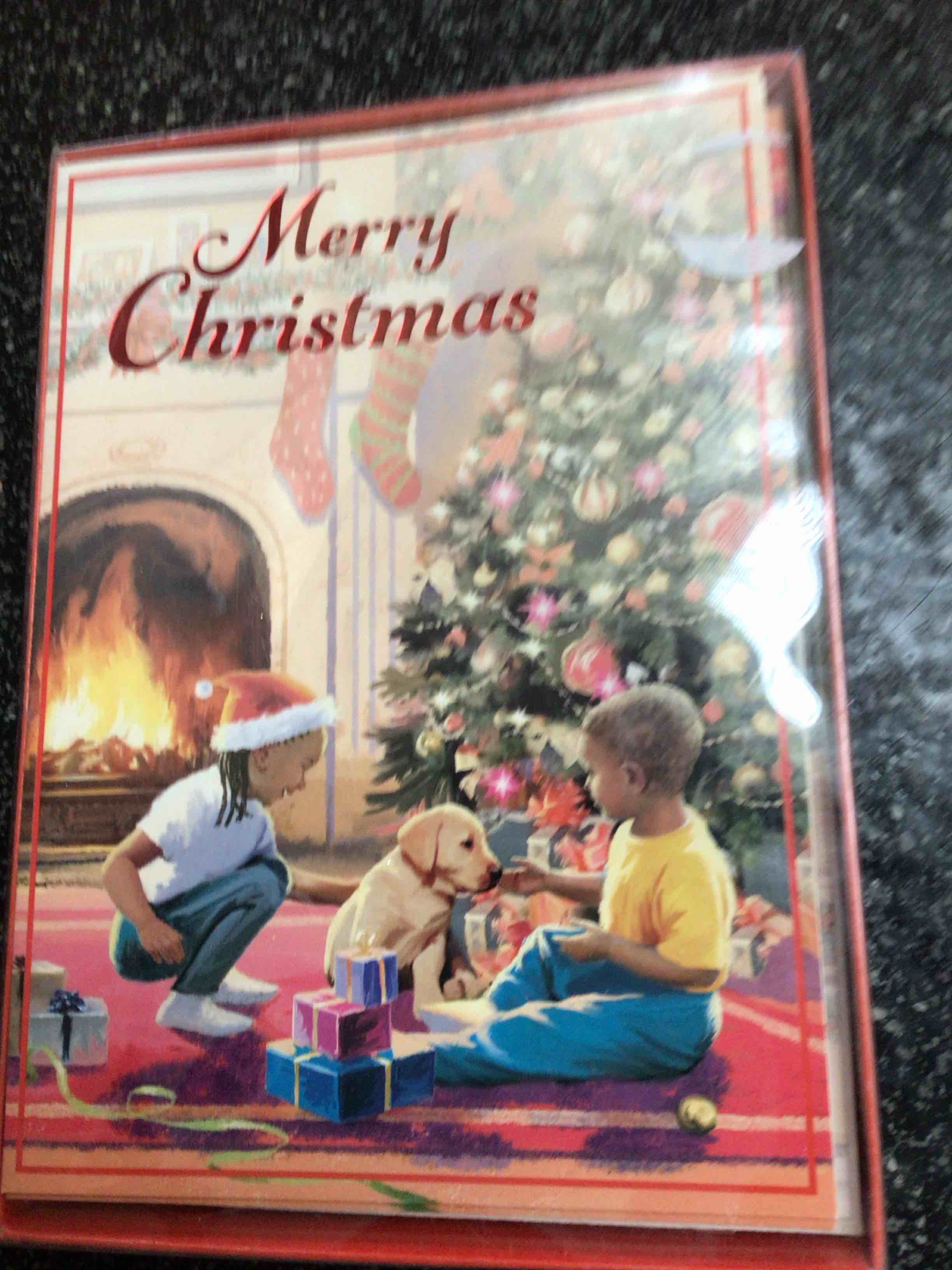 Christmas Cards with envelopes - 12 count 