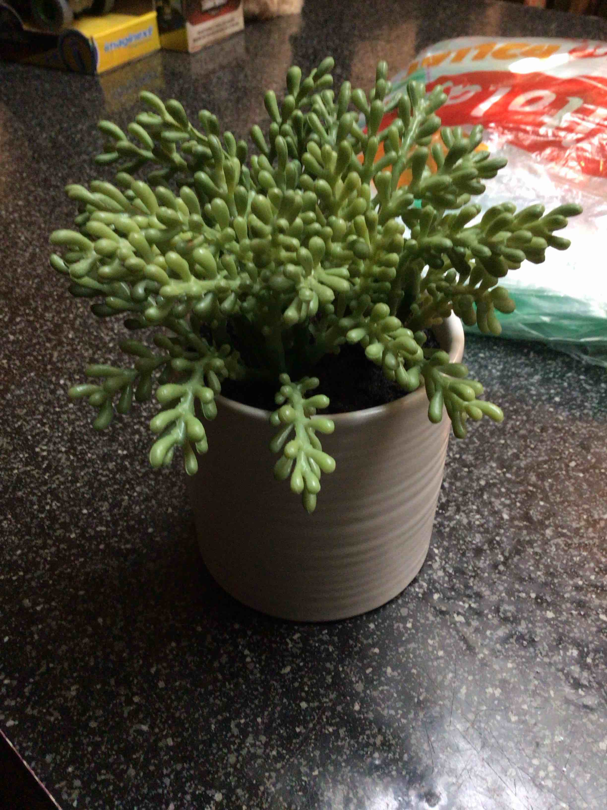 Threshold Faux Arrangement - Succulents