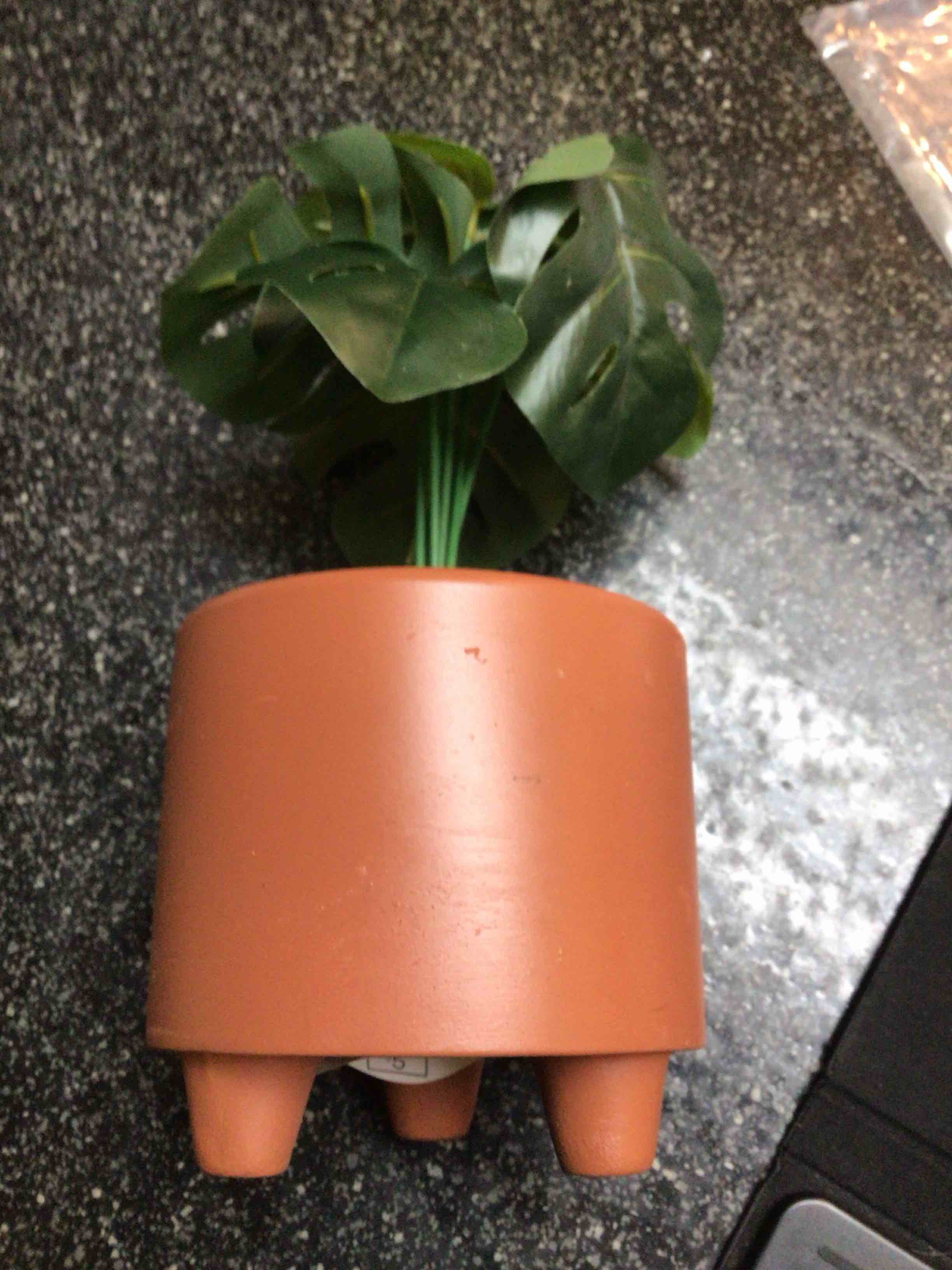 Design Group - Potted Plant 