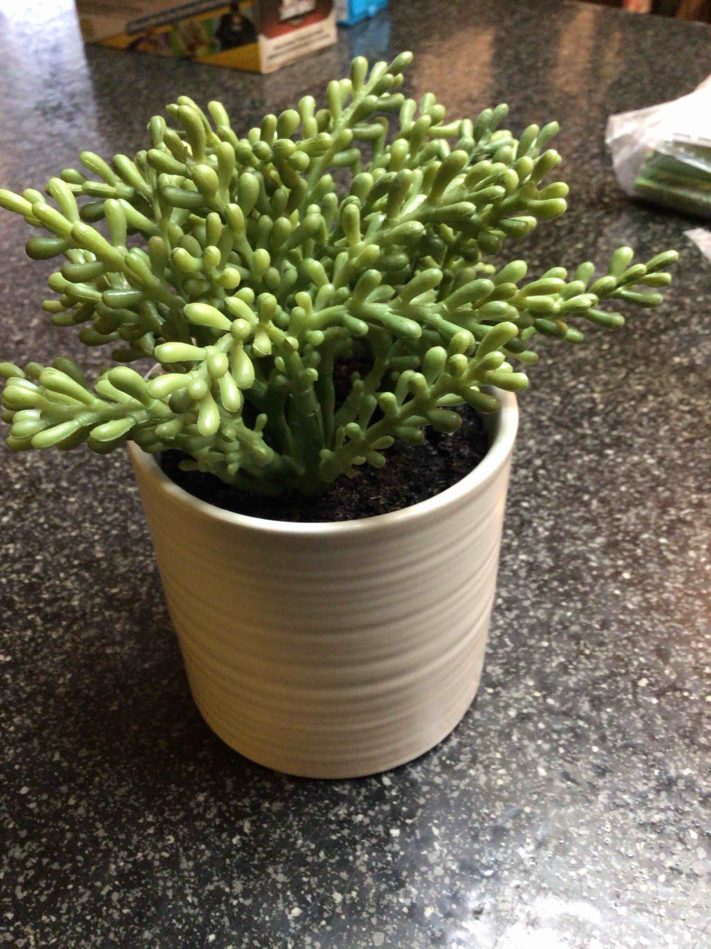 Threshold - Faux Arrangement - succulent 