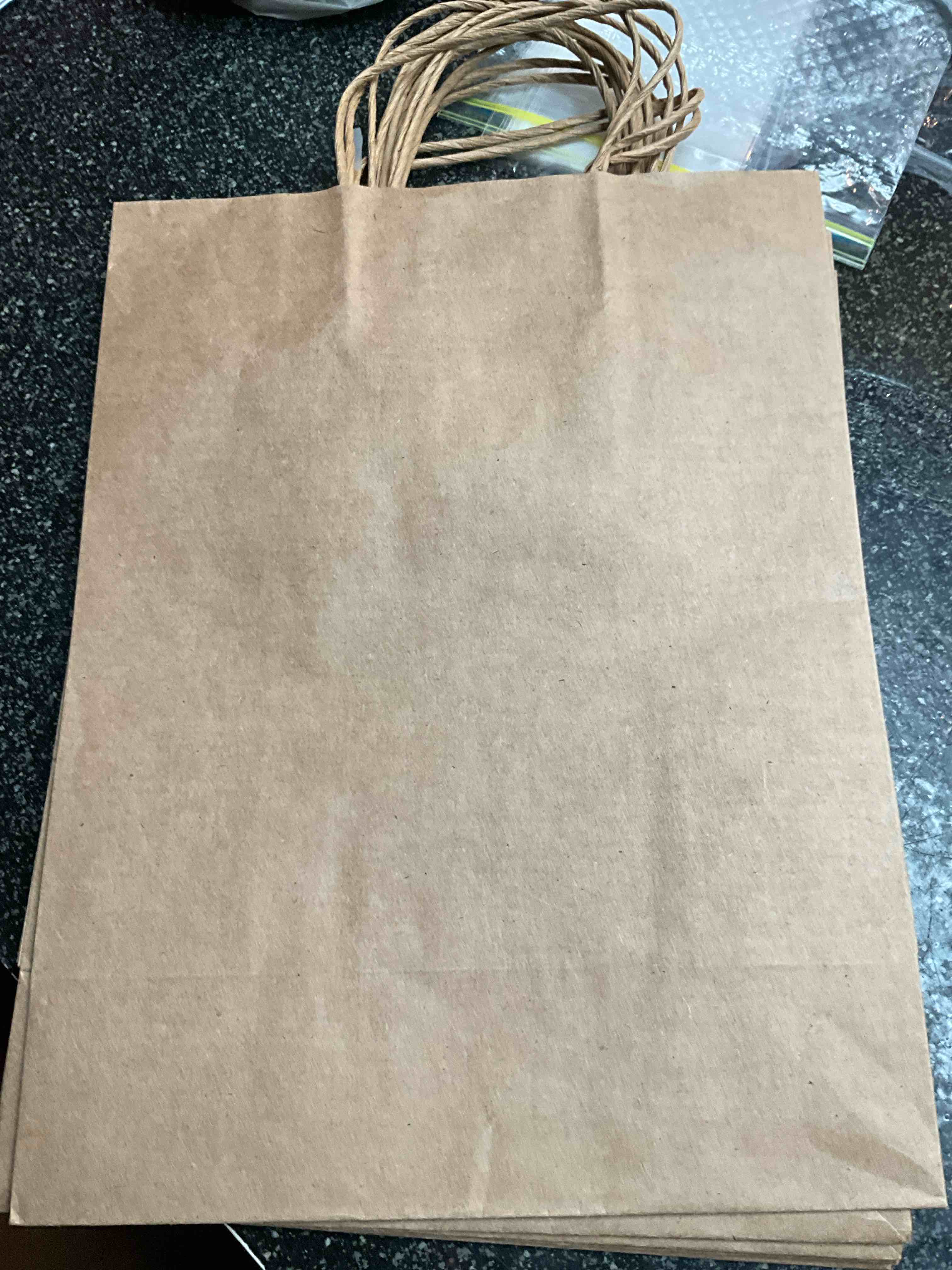 Large Brown Gift Bags (decorate yourself)