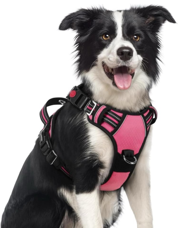 Dog Harness Size Medium 