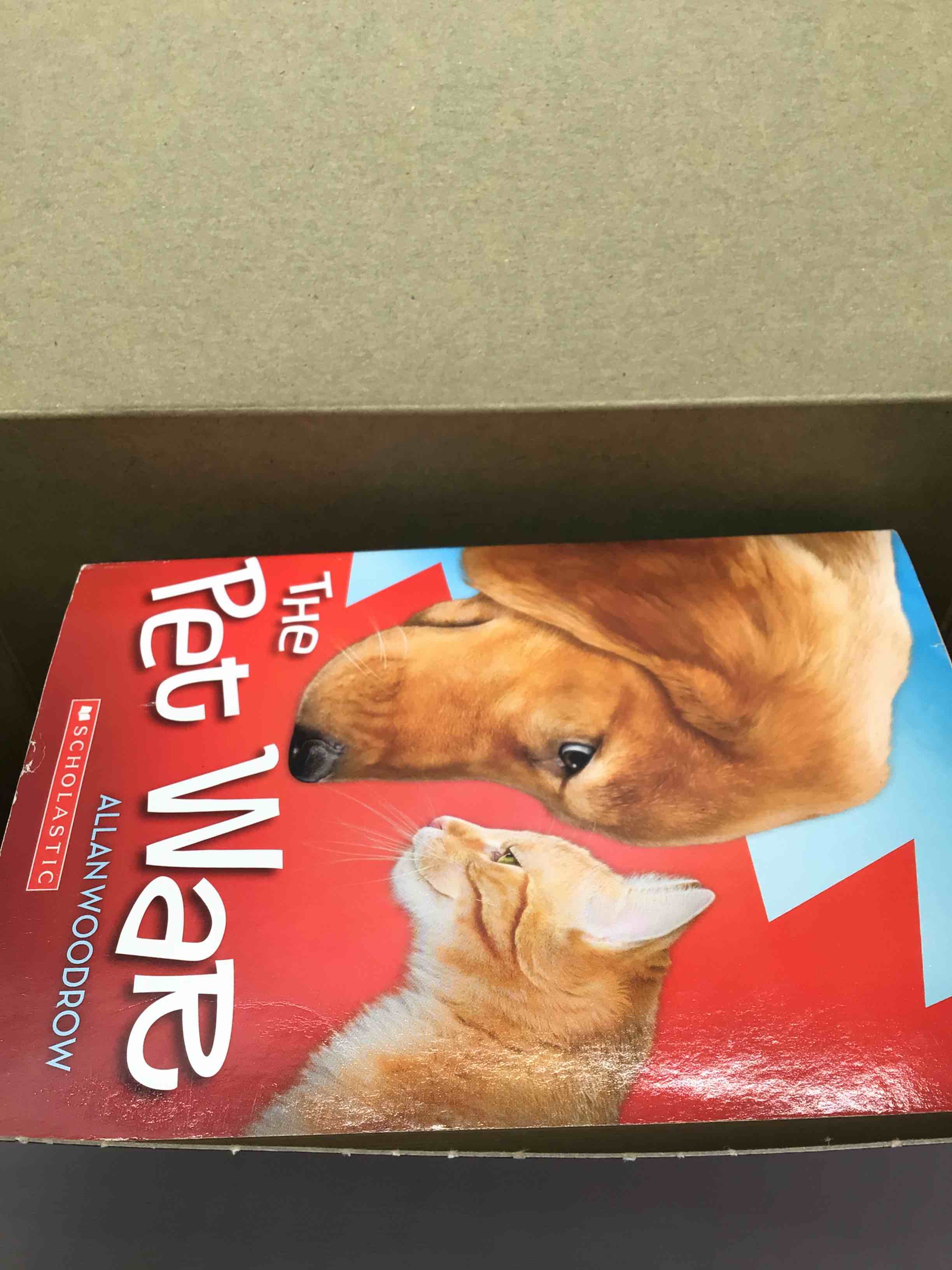Box Lot Assortment of Children Chapter Books For Ages 7+